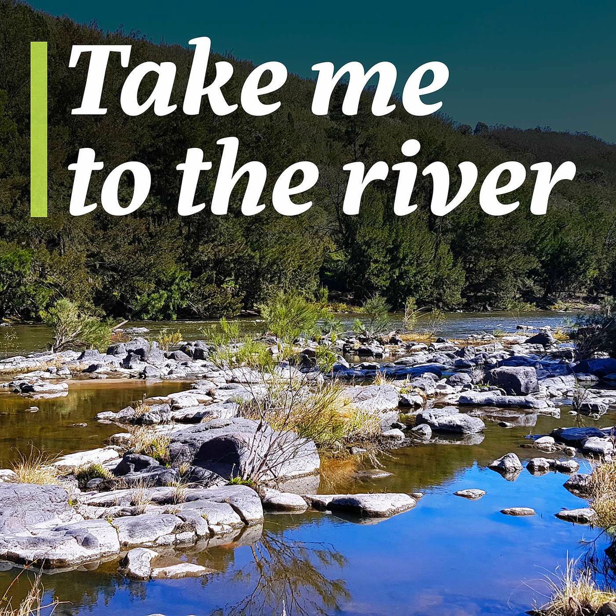 Show cover of Take me to the River