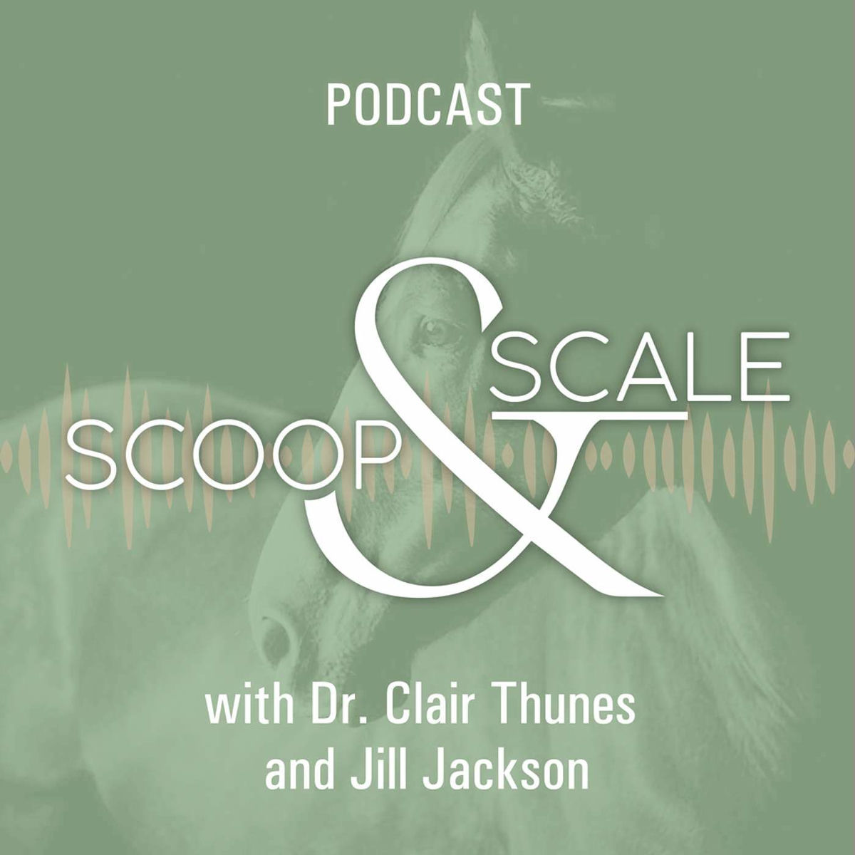 Show cover of Scoop & Scale: An Equine Podcast (Mostly) About Nutrition