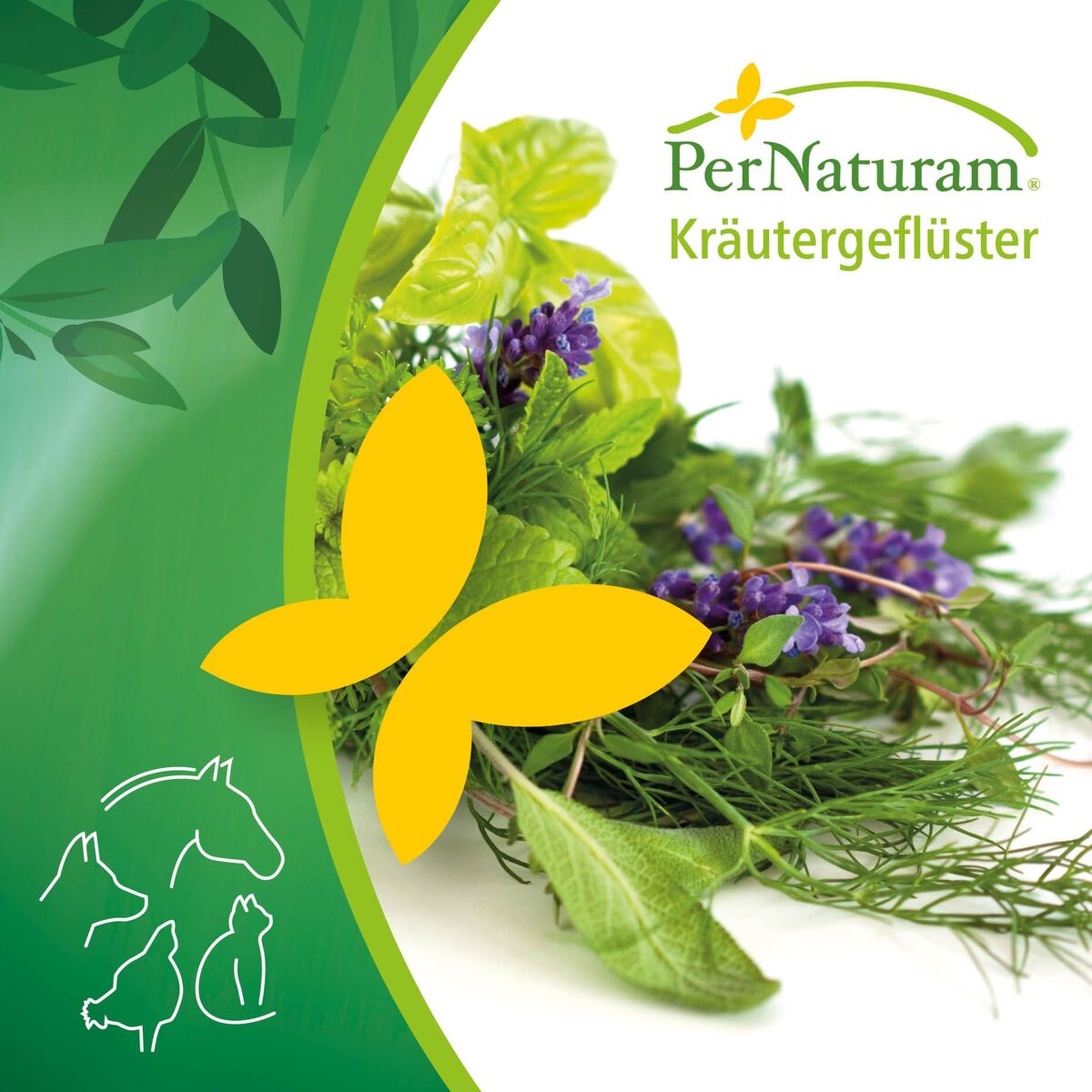 Show cover of PerNaturam Kräutergeflüster