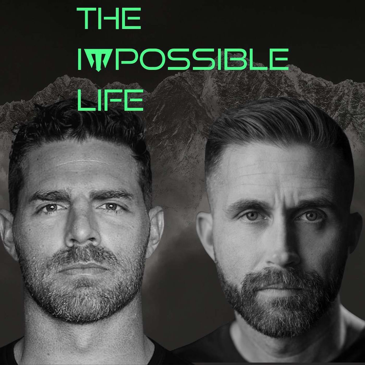 Show cover of The Impossible Life
