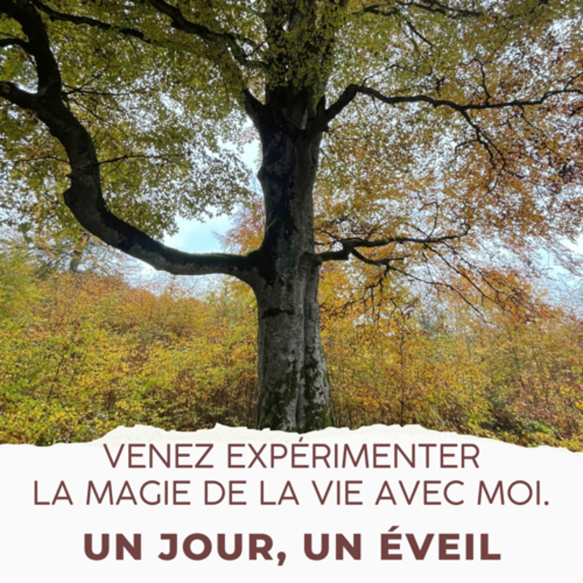 Show cover of Un jour, un éveil.