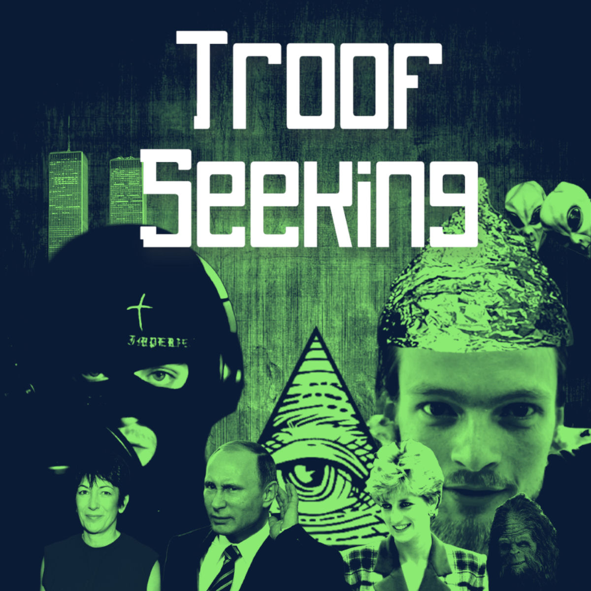 Show cover of Troof Seeking