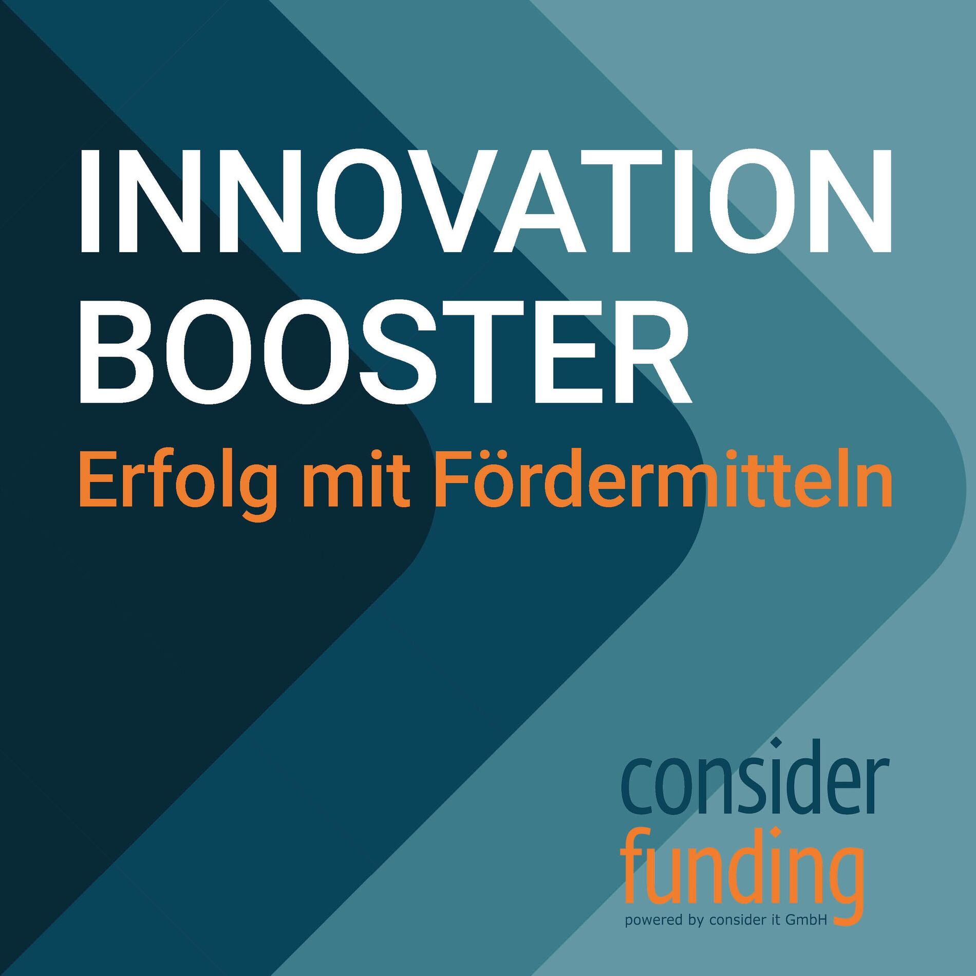 Show cover of Innovation Booster - Erfolg mit Fördermitteln