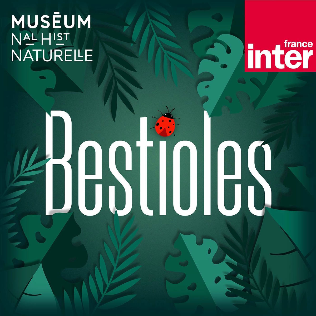 Show cover of Bestioles