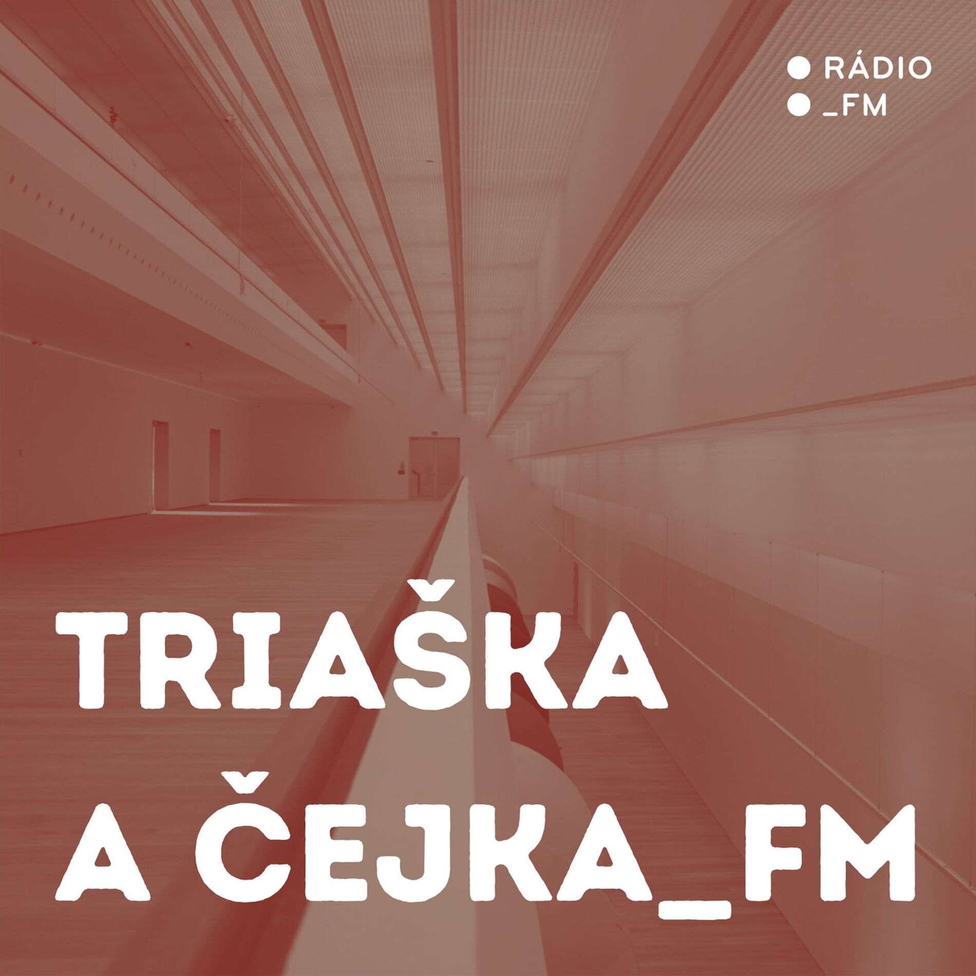 Show cover of Triaška and Čejka_FM