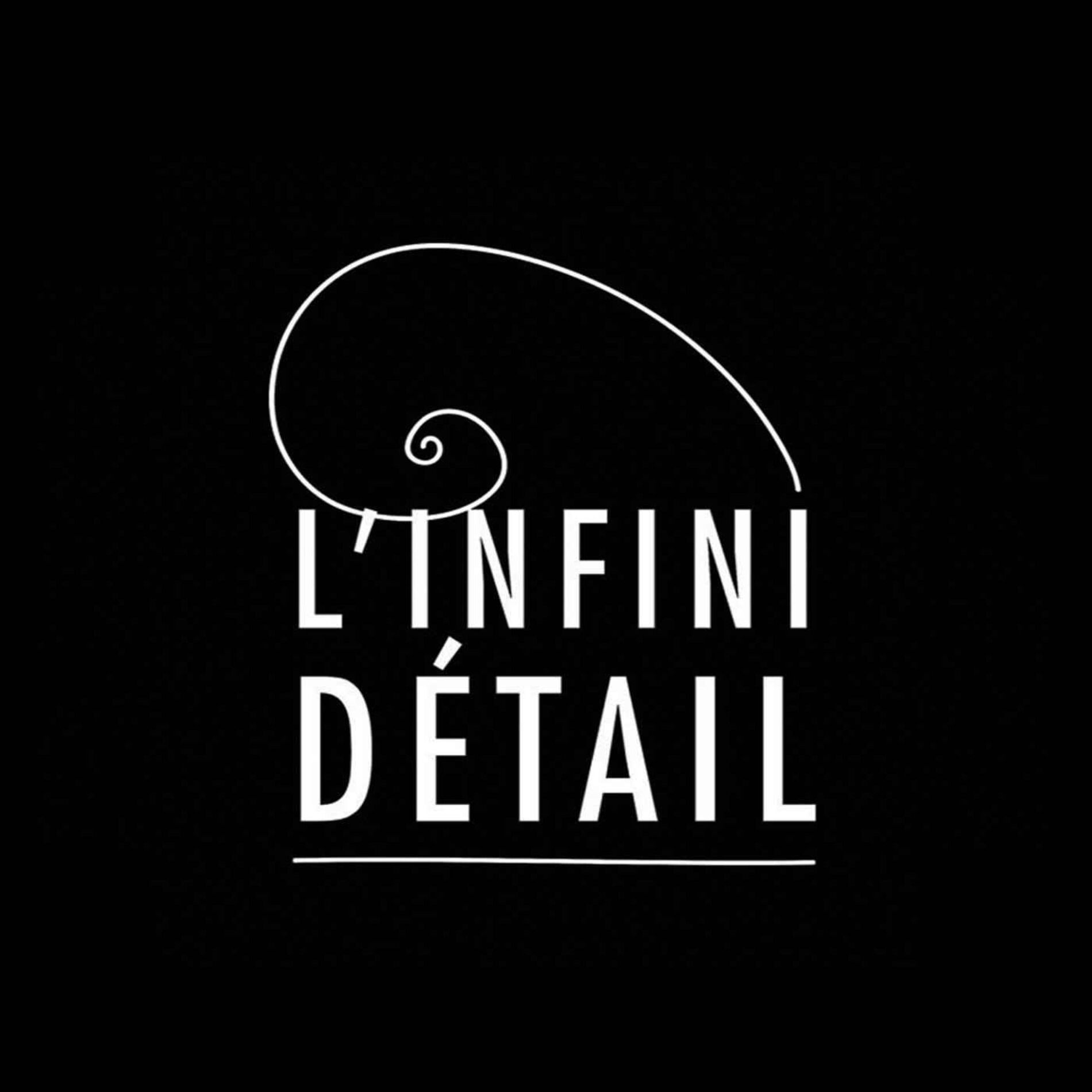 Show cover of L'Infini Détail