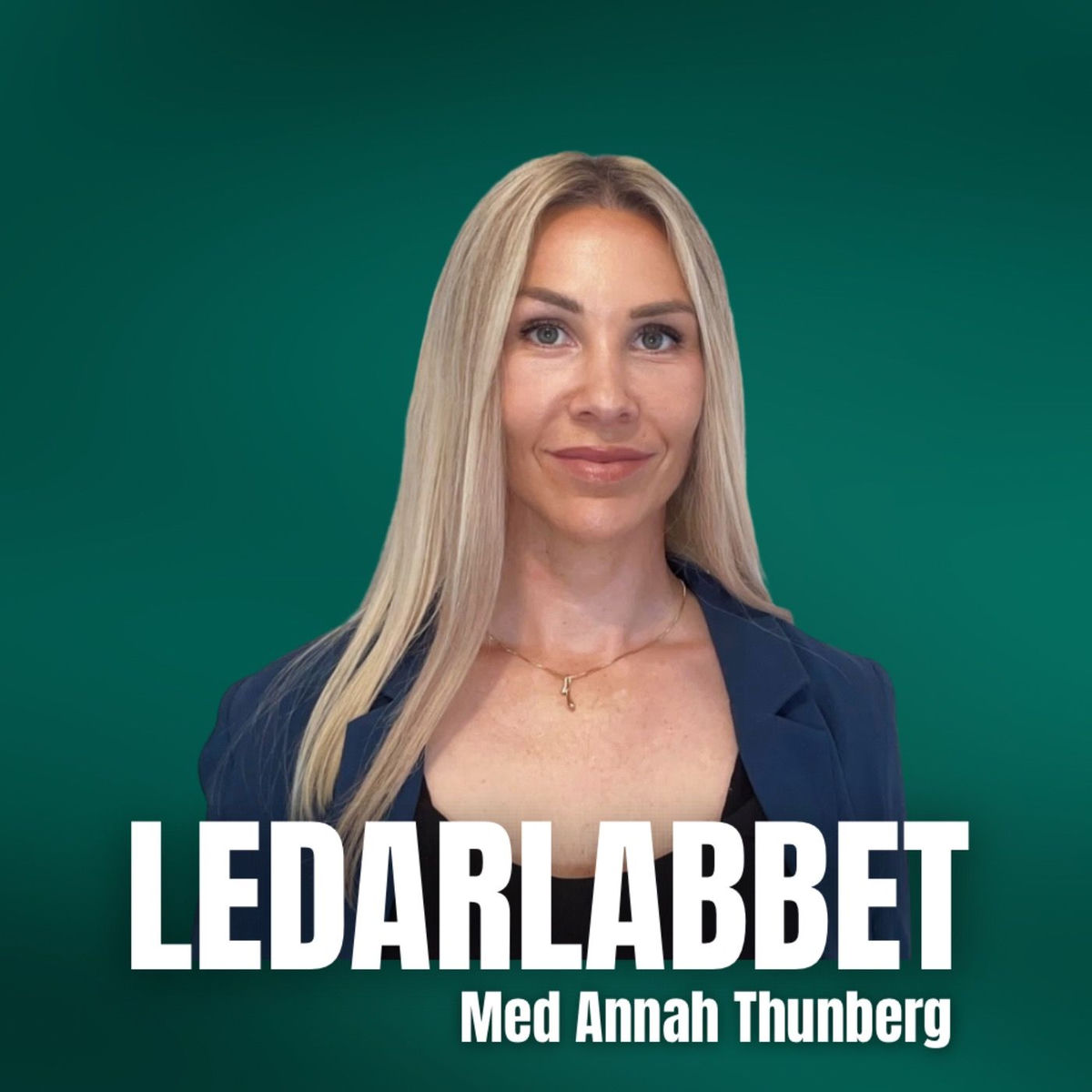 Show cover of Ledarlabbet