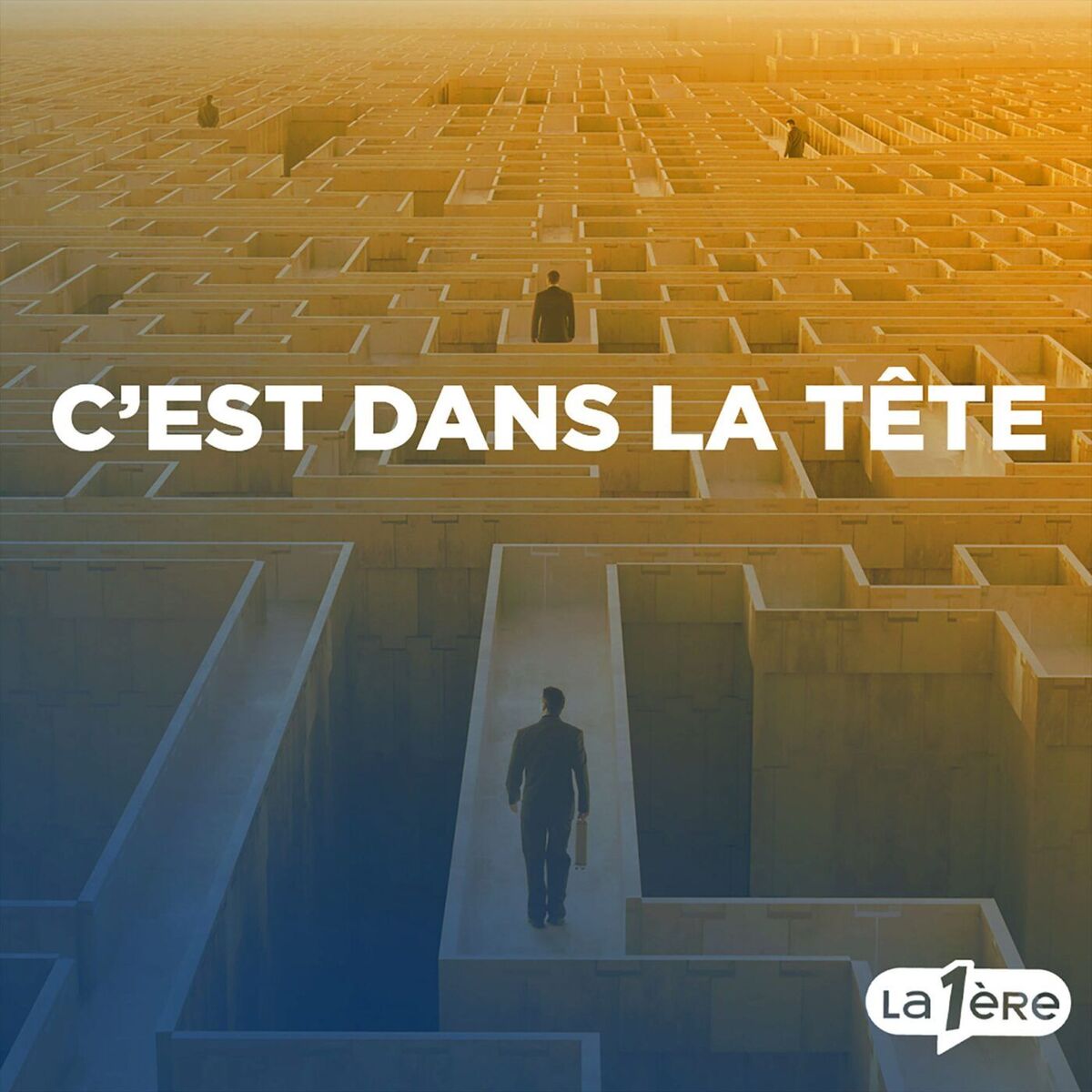 Show cover of C'est dans la tête : Une histoire de santé mentale