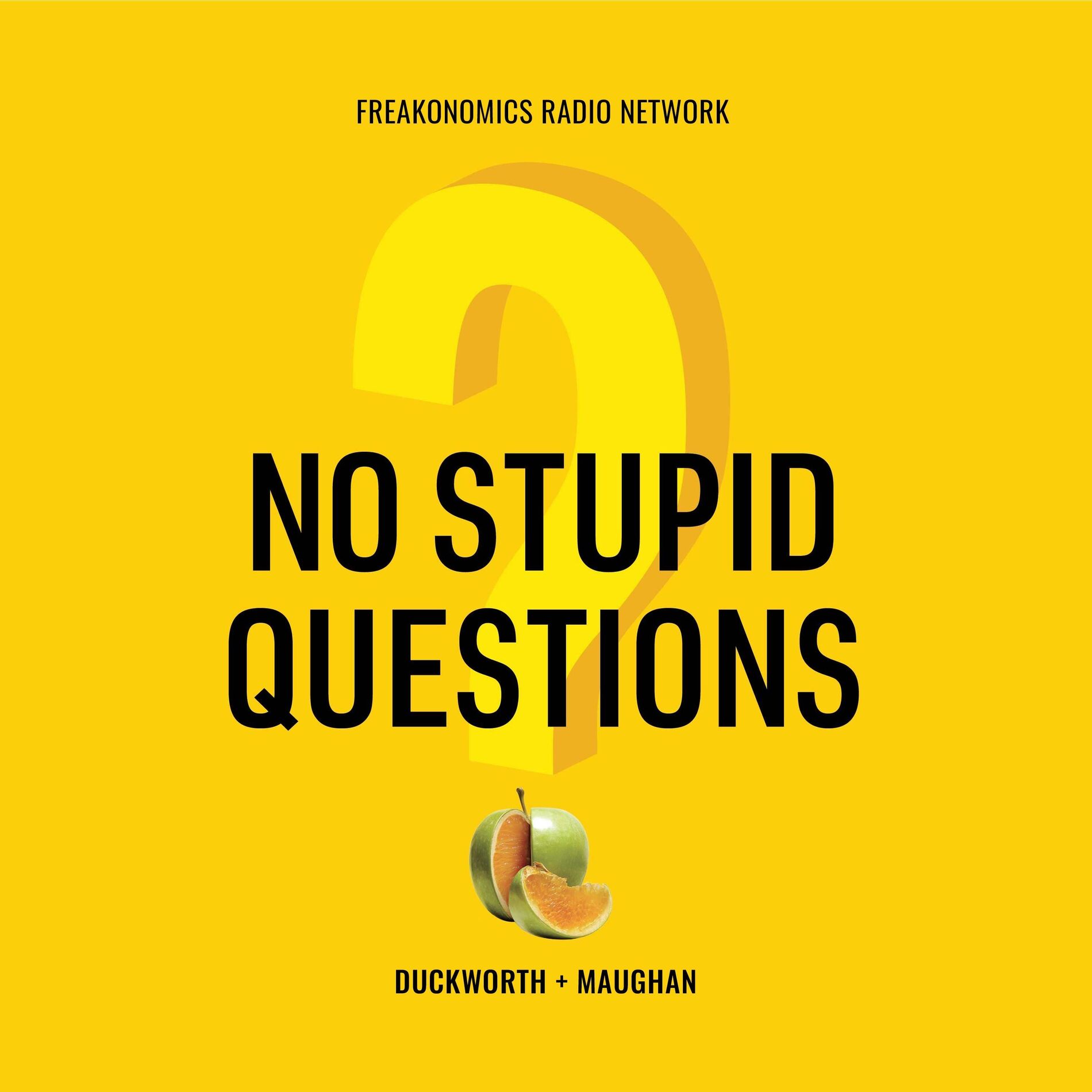 Show cover of No Stupid Questions
