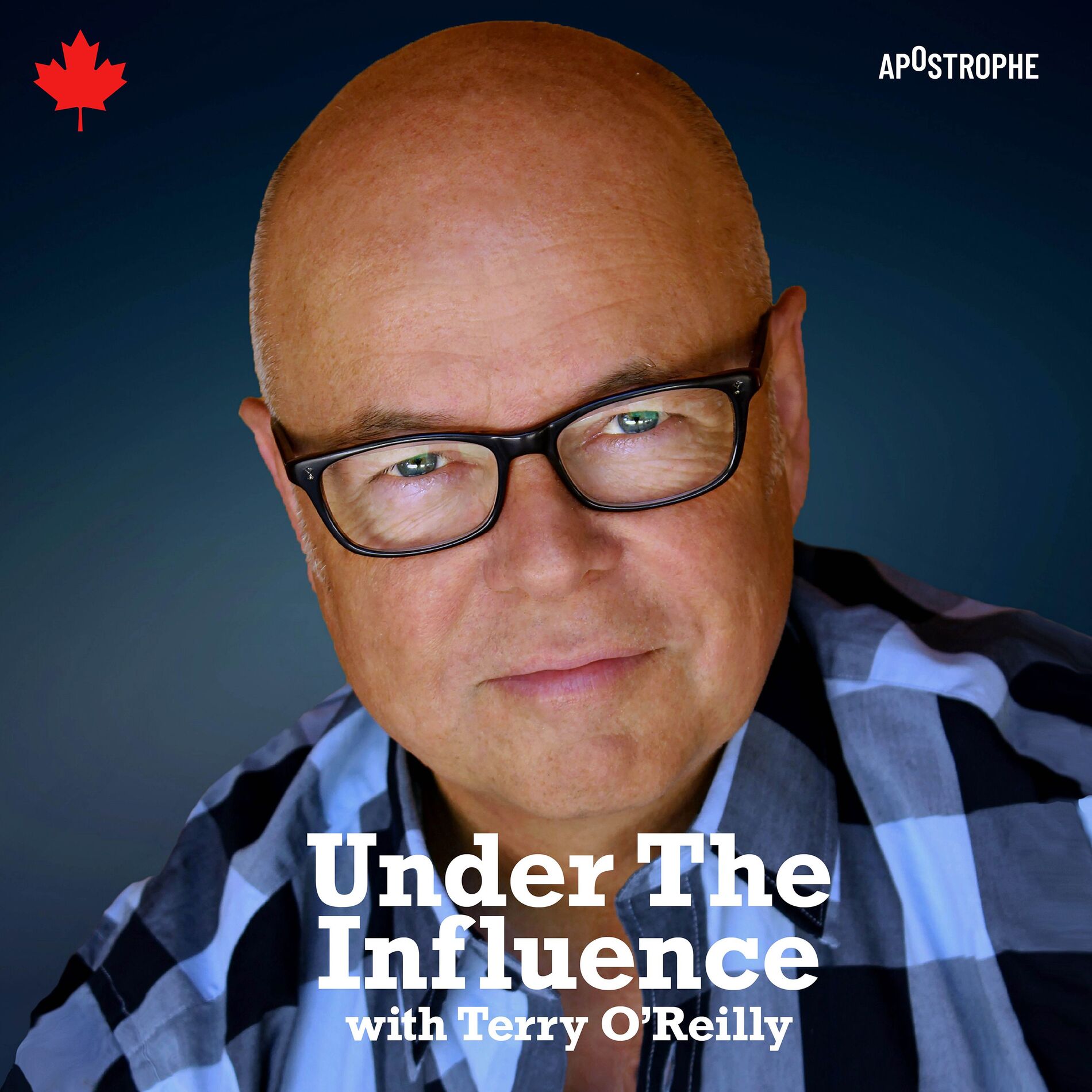 Show cover of Under the Influence with Terry O'Reilly