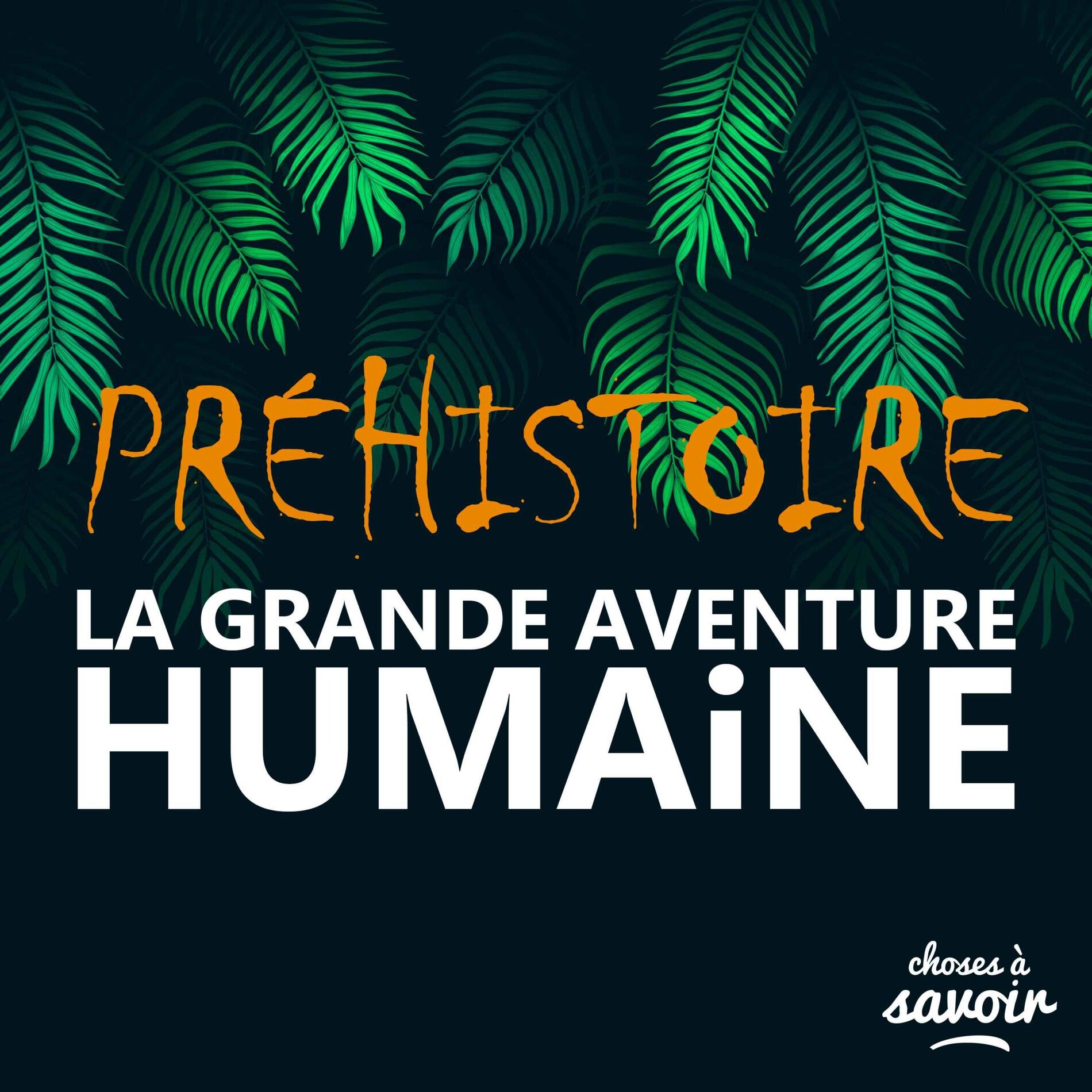 Show cover of Préhistoire - La grande aventure humaine