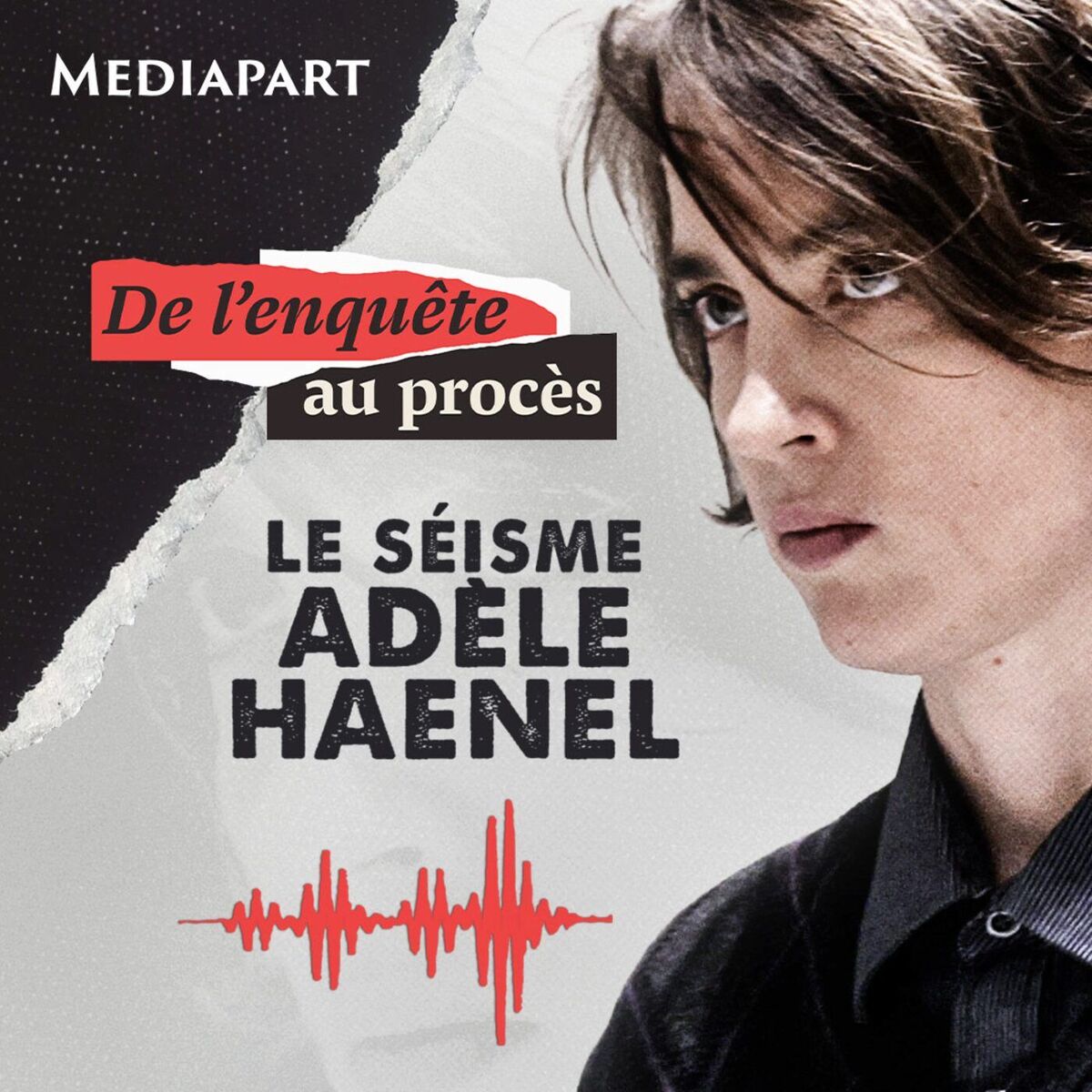 Show cover of Le séisme Adèle Haenel