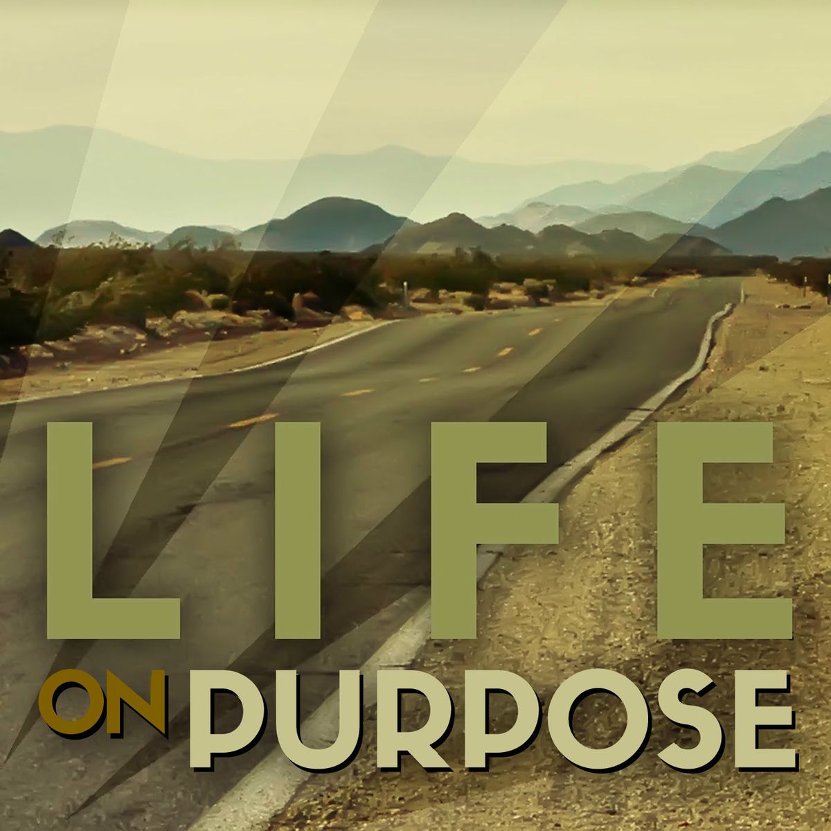 Show cover of Life on Purpose