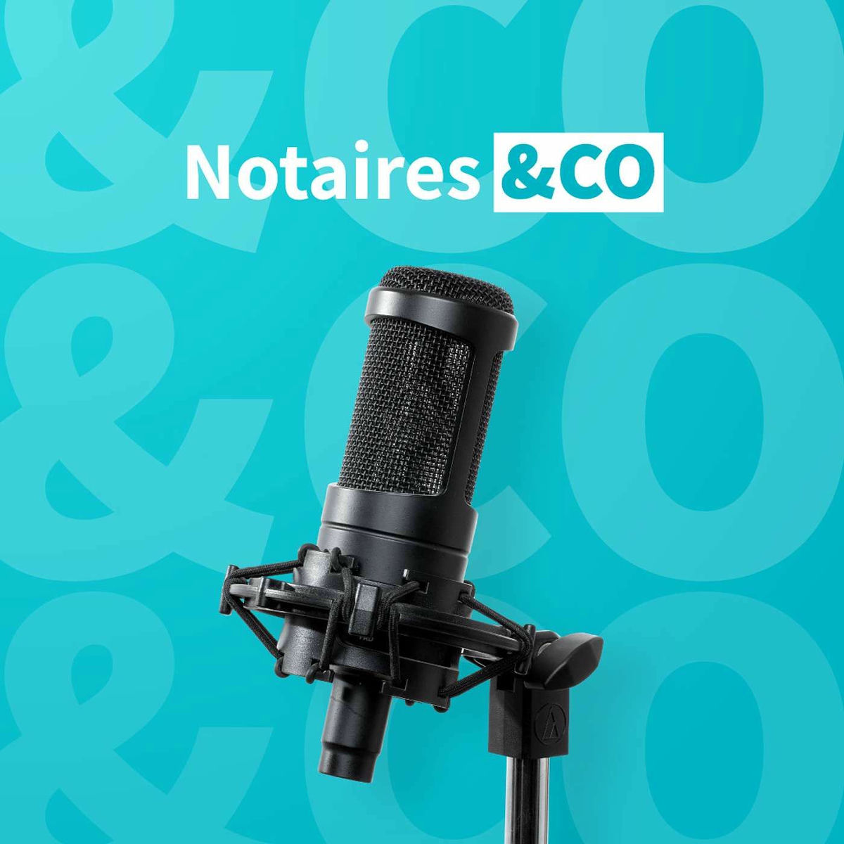 Show cover of Notaires&CO