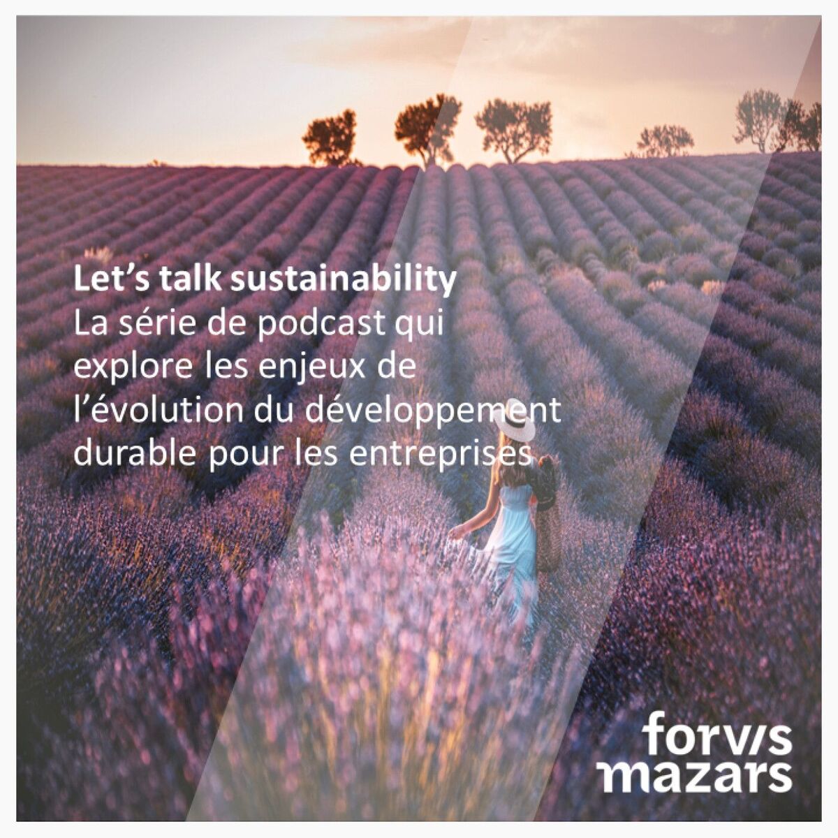 Show cover of Let’s Talk Sustainability