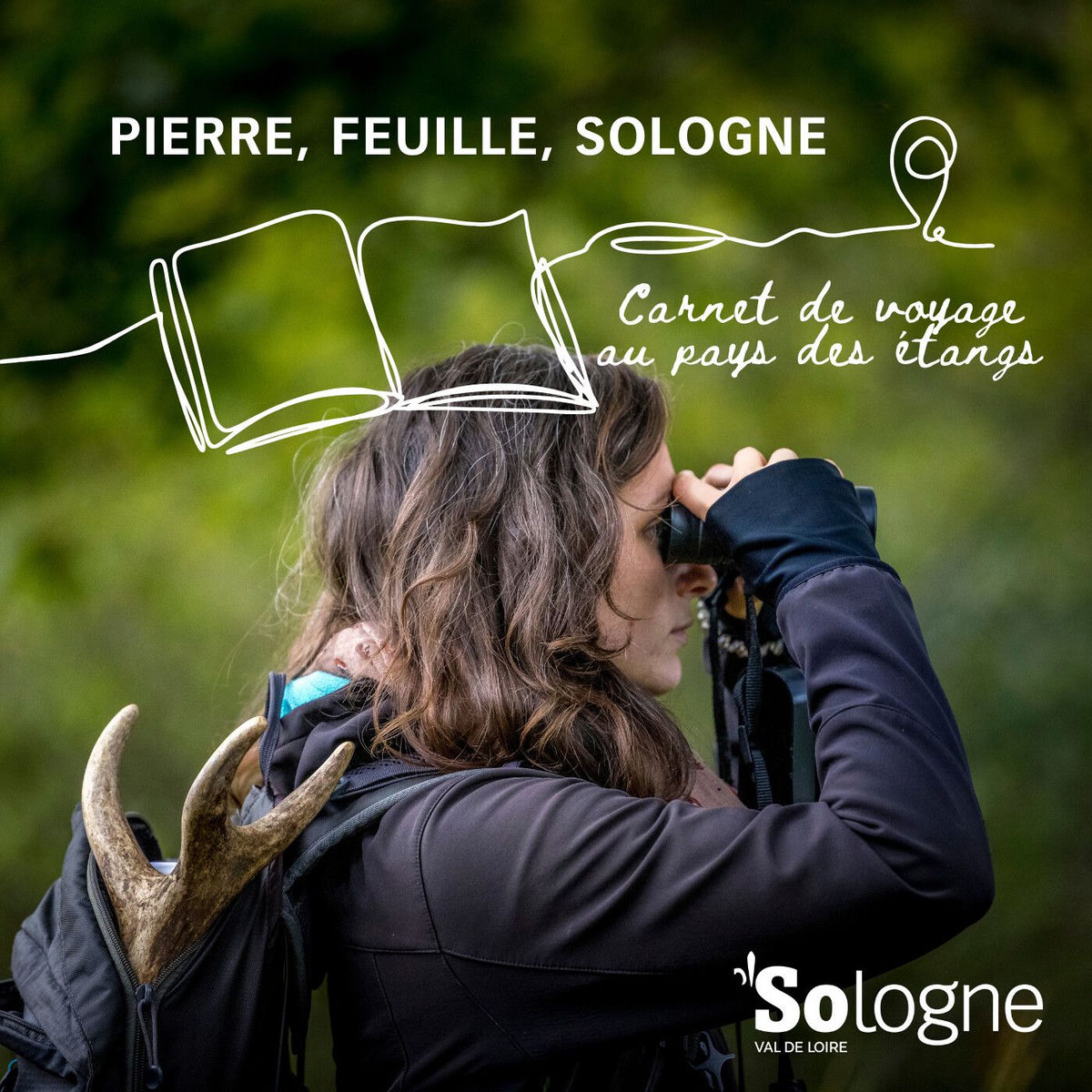 Show cover of Pierre, feuille, Sologne - Carnet de voyage au pays des étangs.