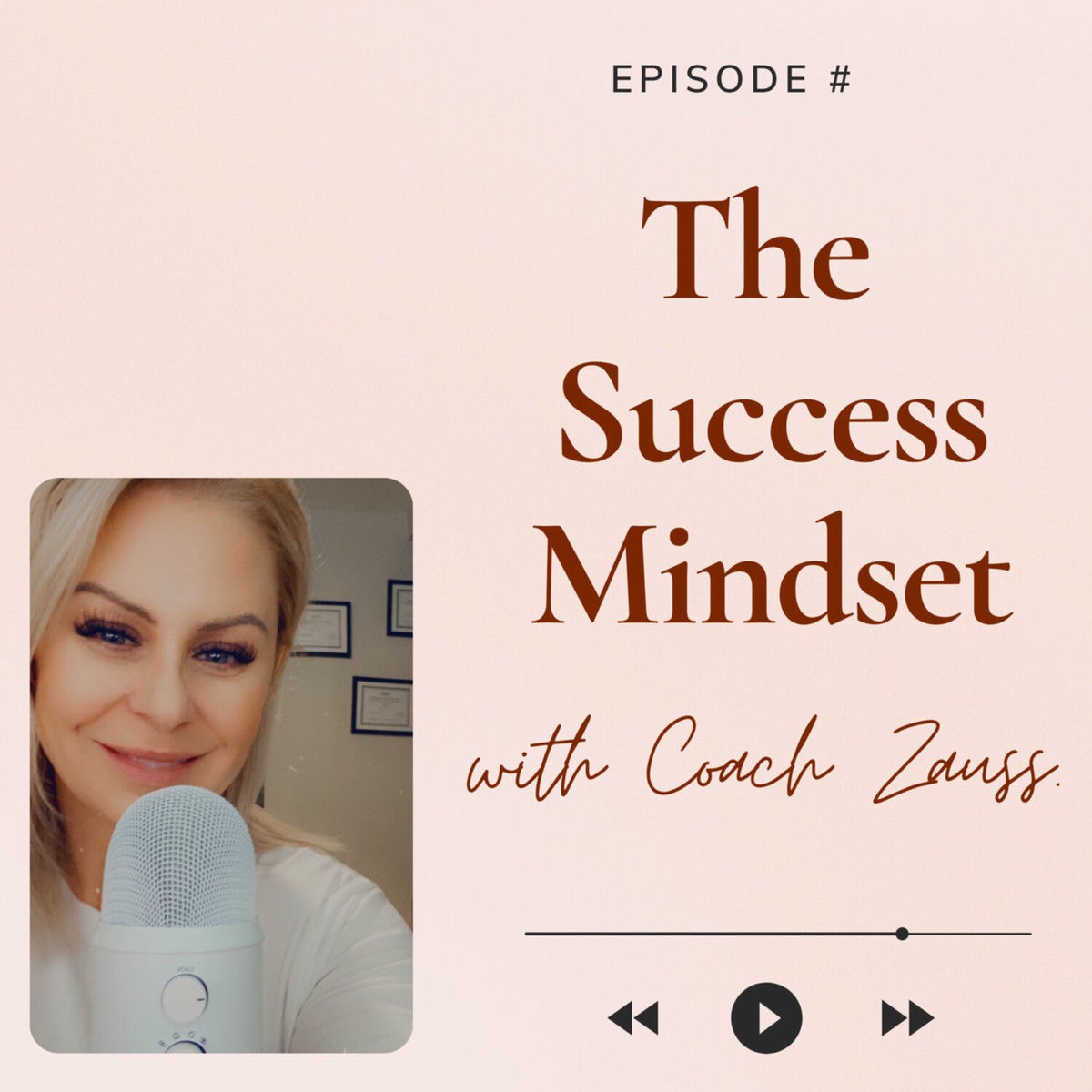 Show cover of The Success Mindset