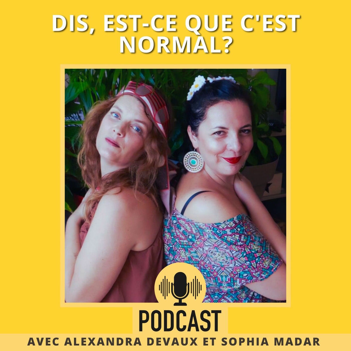 Show cover of Dis, est-ce que c'est normal ?