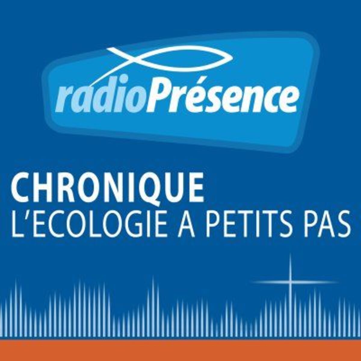 Show cover of L'écologie à petits pas