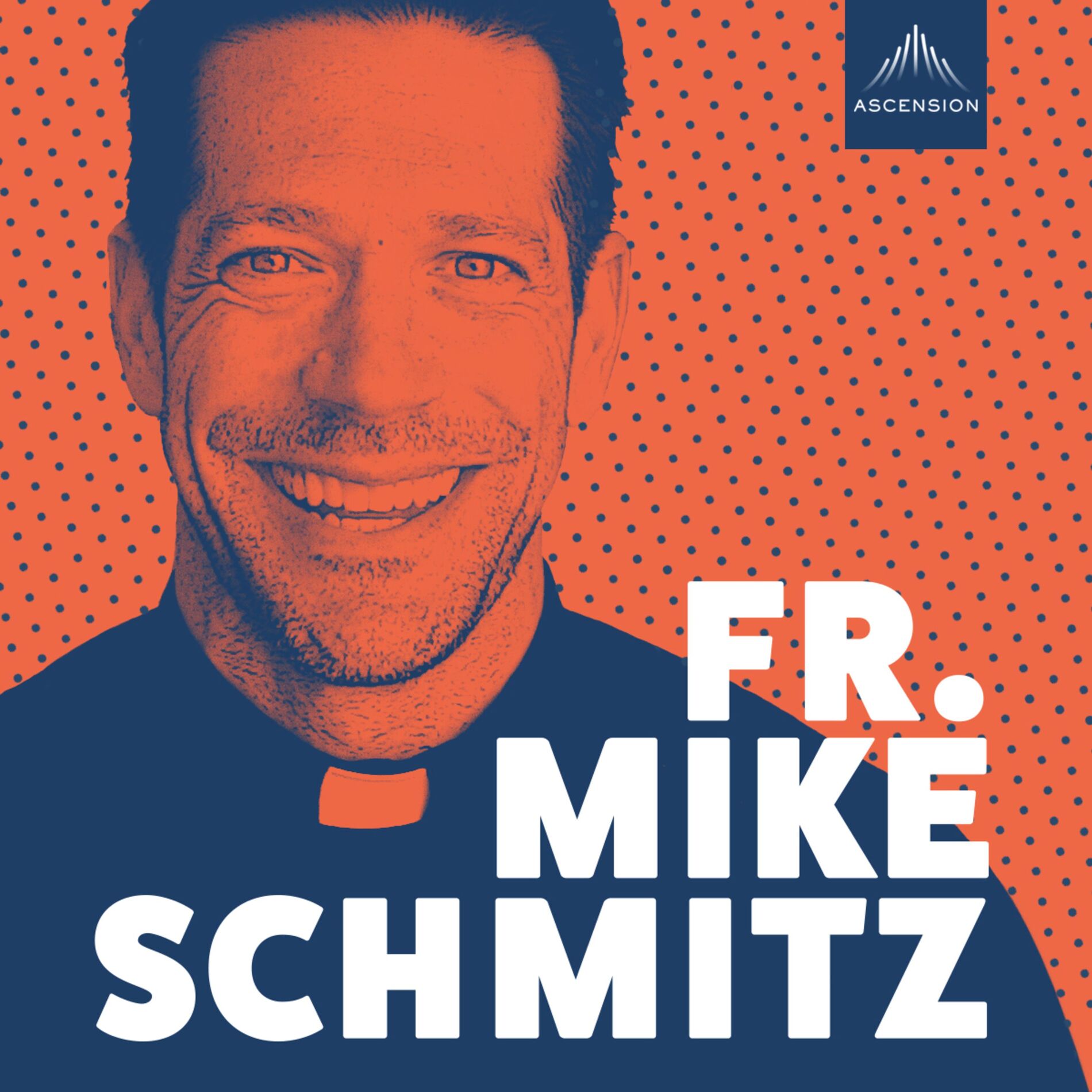 Show cover of The Fr. Mike Schmitz Catholic Podcast