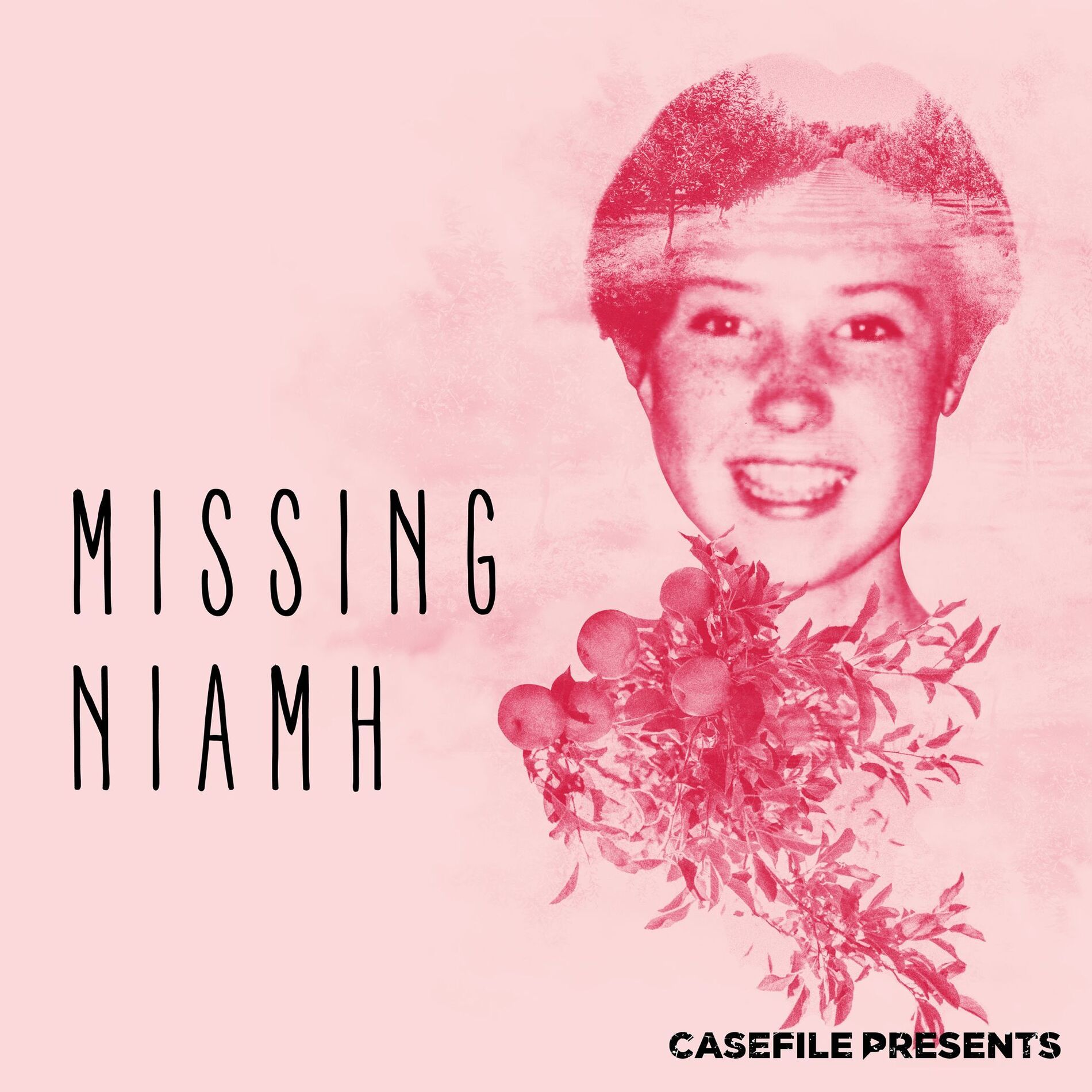 Show cover of Missing Niamh