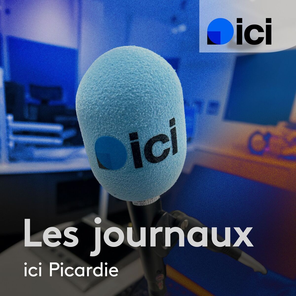 Show cover of Les journaux de 