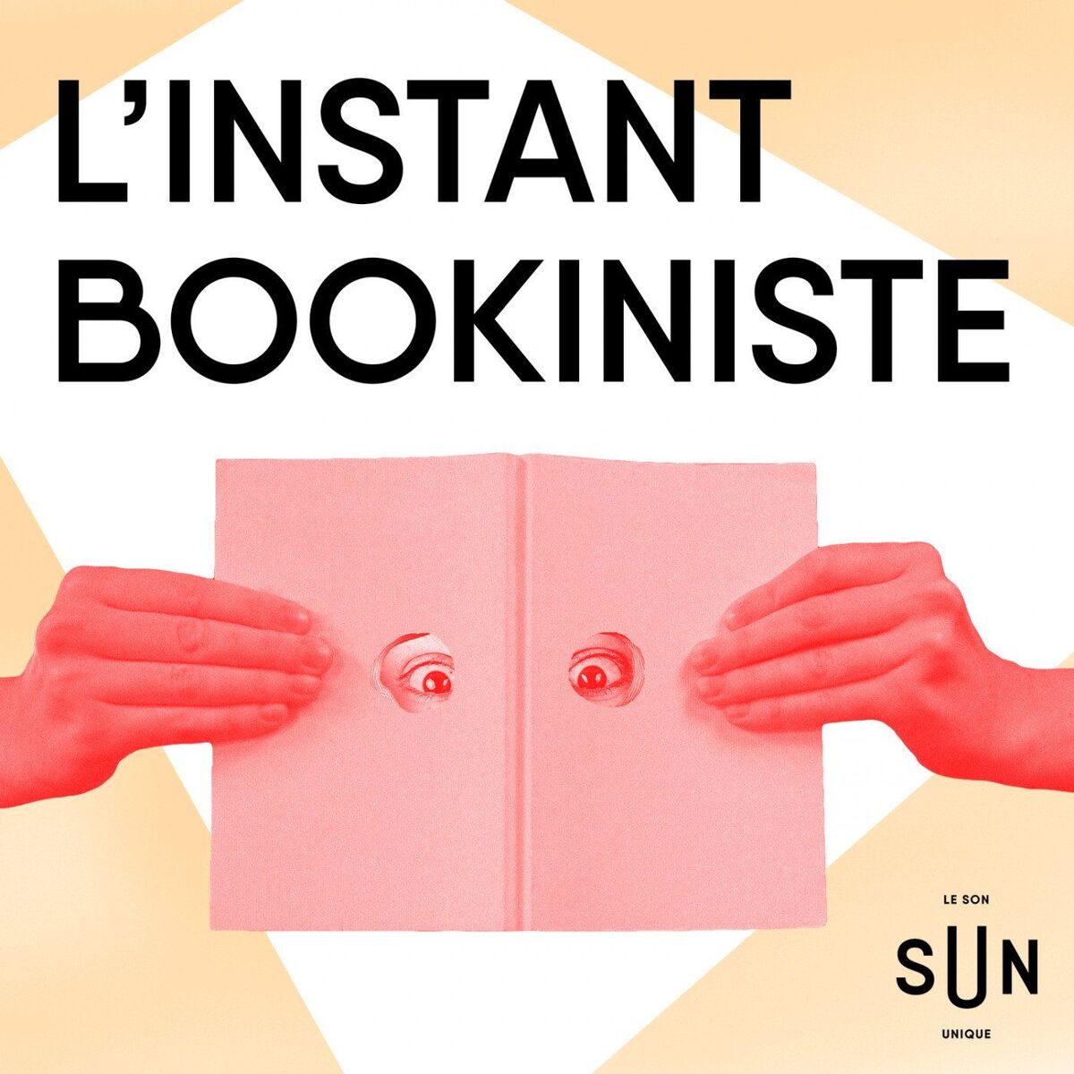 Show cover of L'instant bookiniste