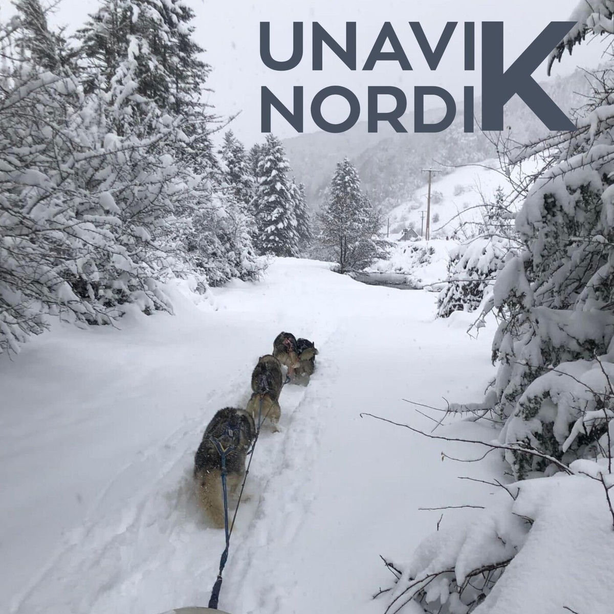 Show cover of UNAVIK NORDIK