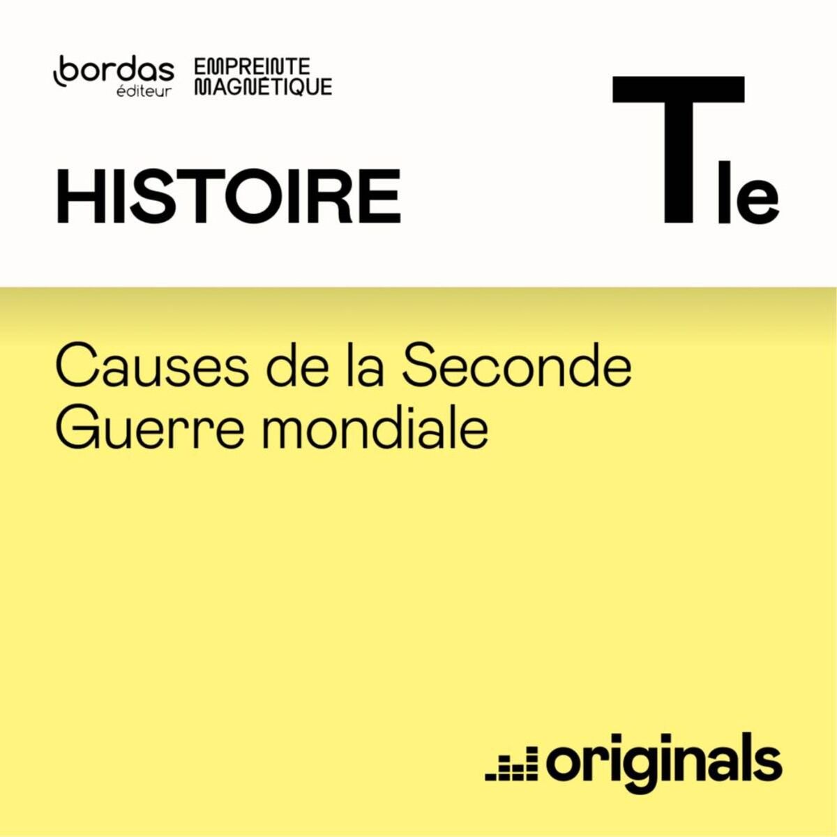 Show cover of Histoire : Causes de la Seconde Guerre mondiale