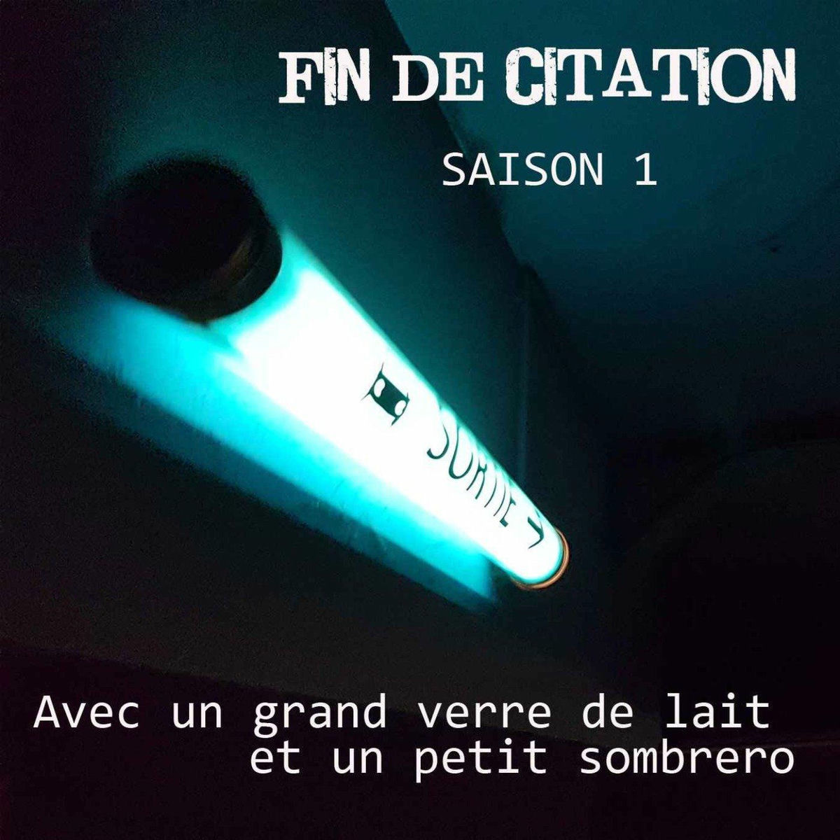 Show cover of Fin De Citation