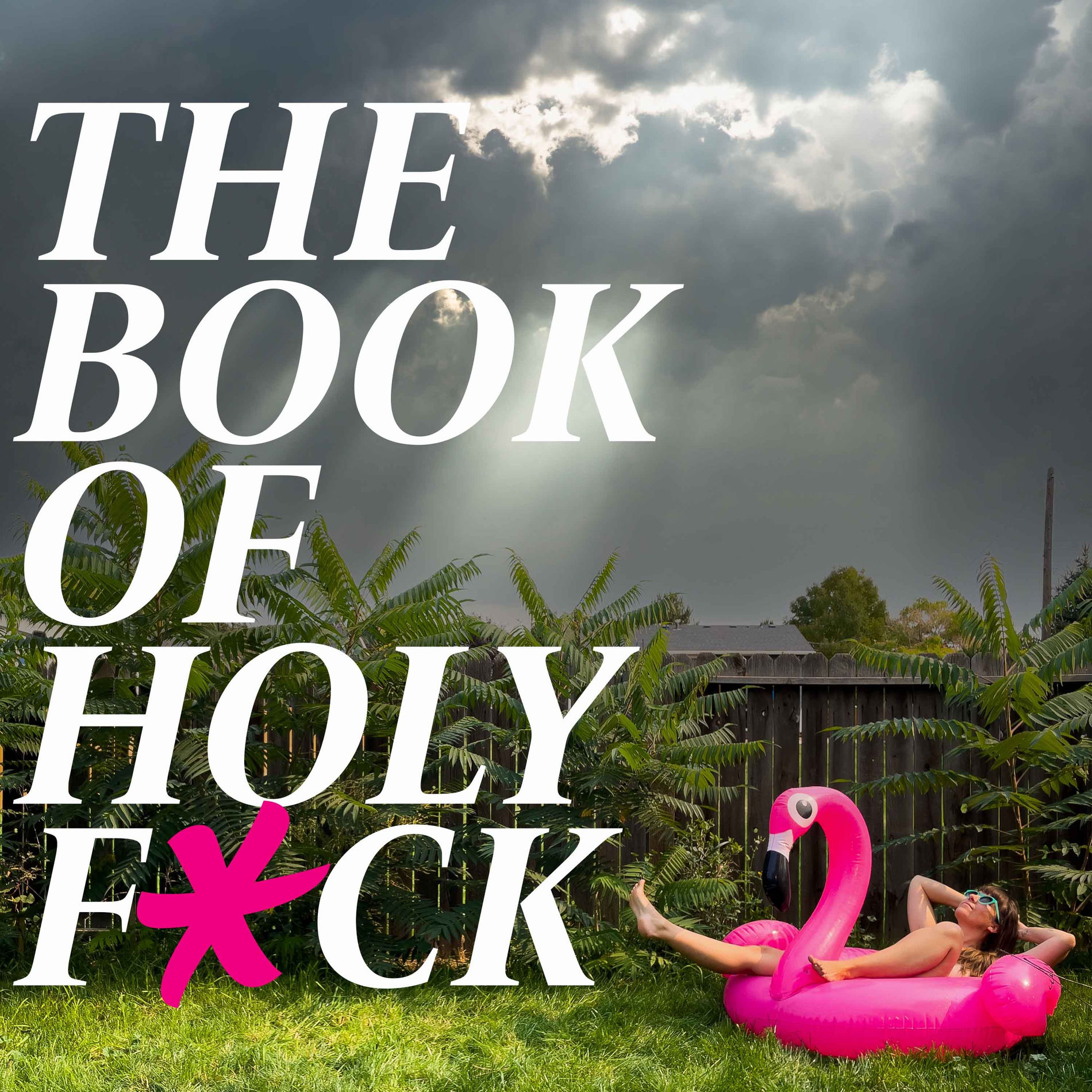 Show cover of The Book of Holy F*ck