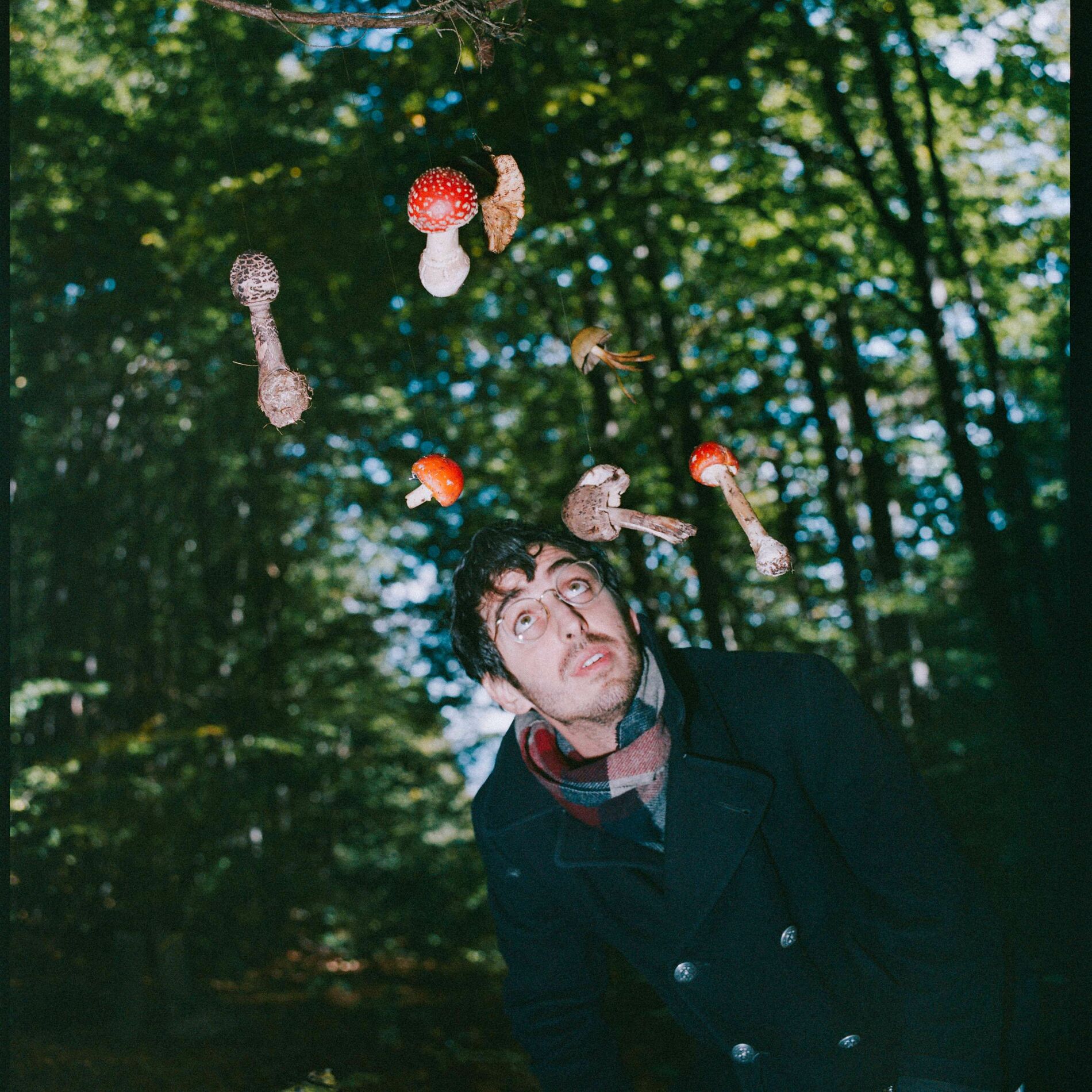 Show cover of The Hamilton Morris Podcast
