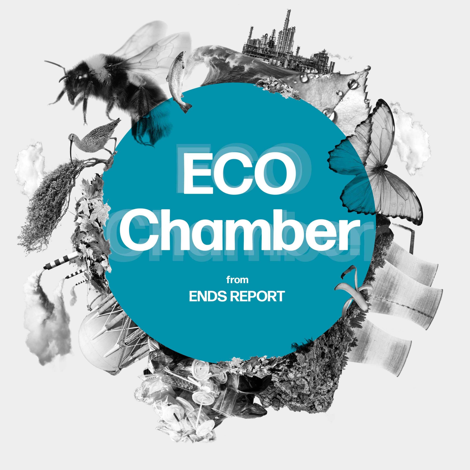 Show cover of Eco Chamber