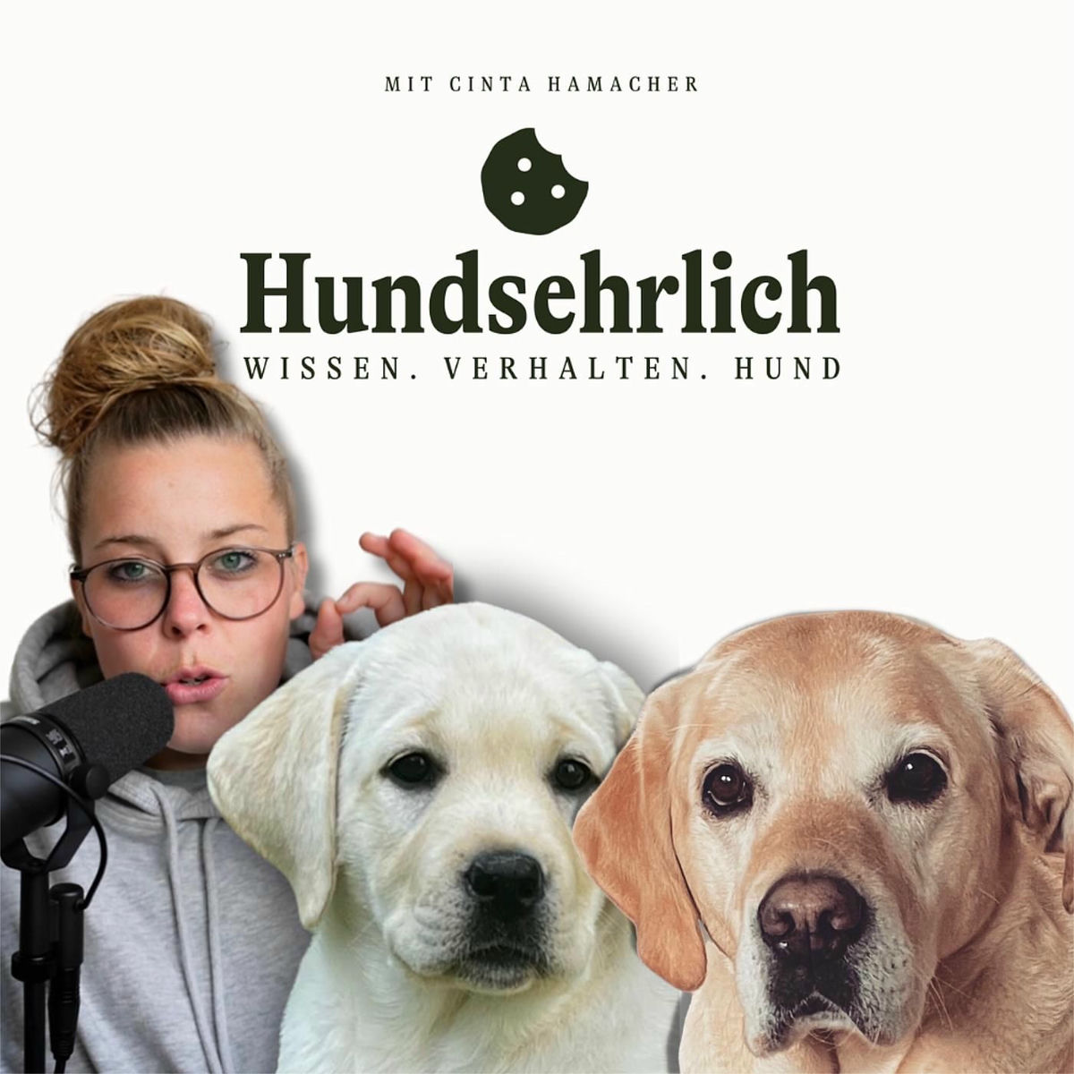 Show cover of Hundsehrlich - Wissen. Verhalten. Hund