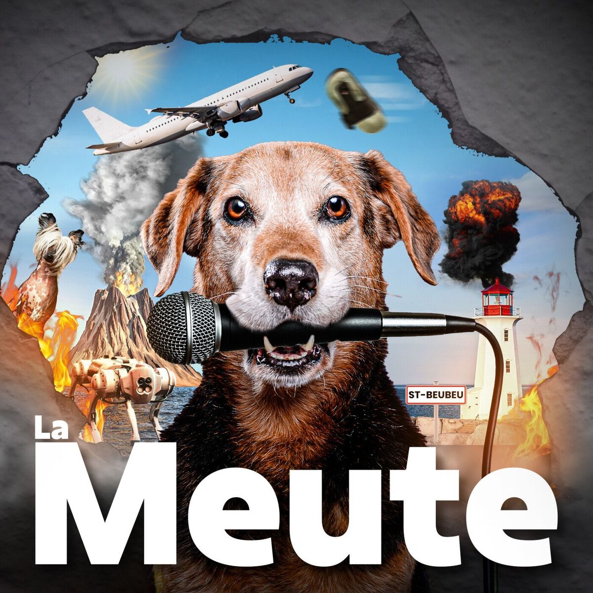 Show cover of La Meute !