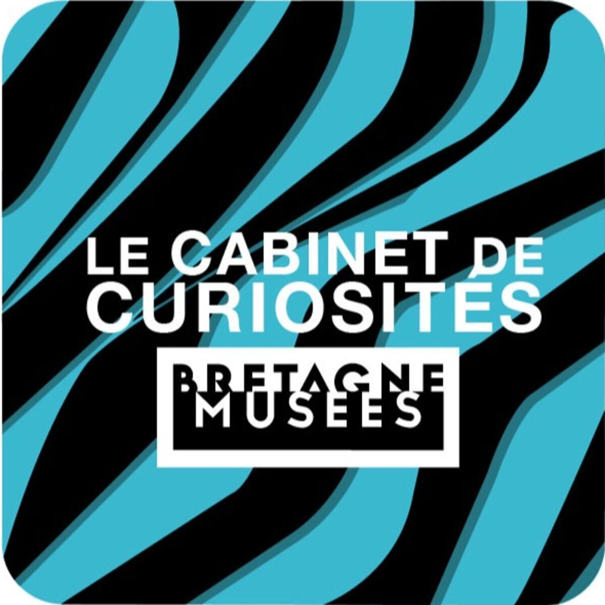 Show cover of Le cabinet de curiosités de Bretagne musées