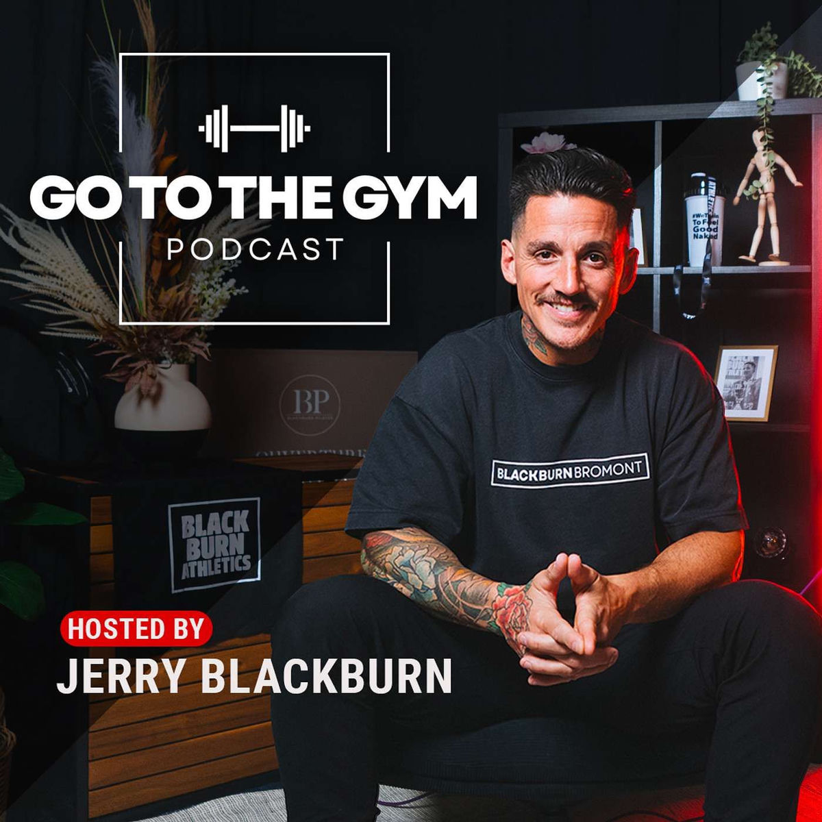 Show cover of Go To The Gym Podcast