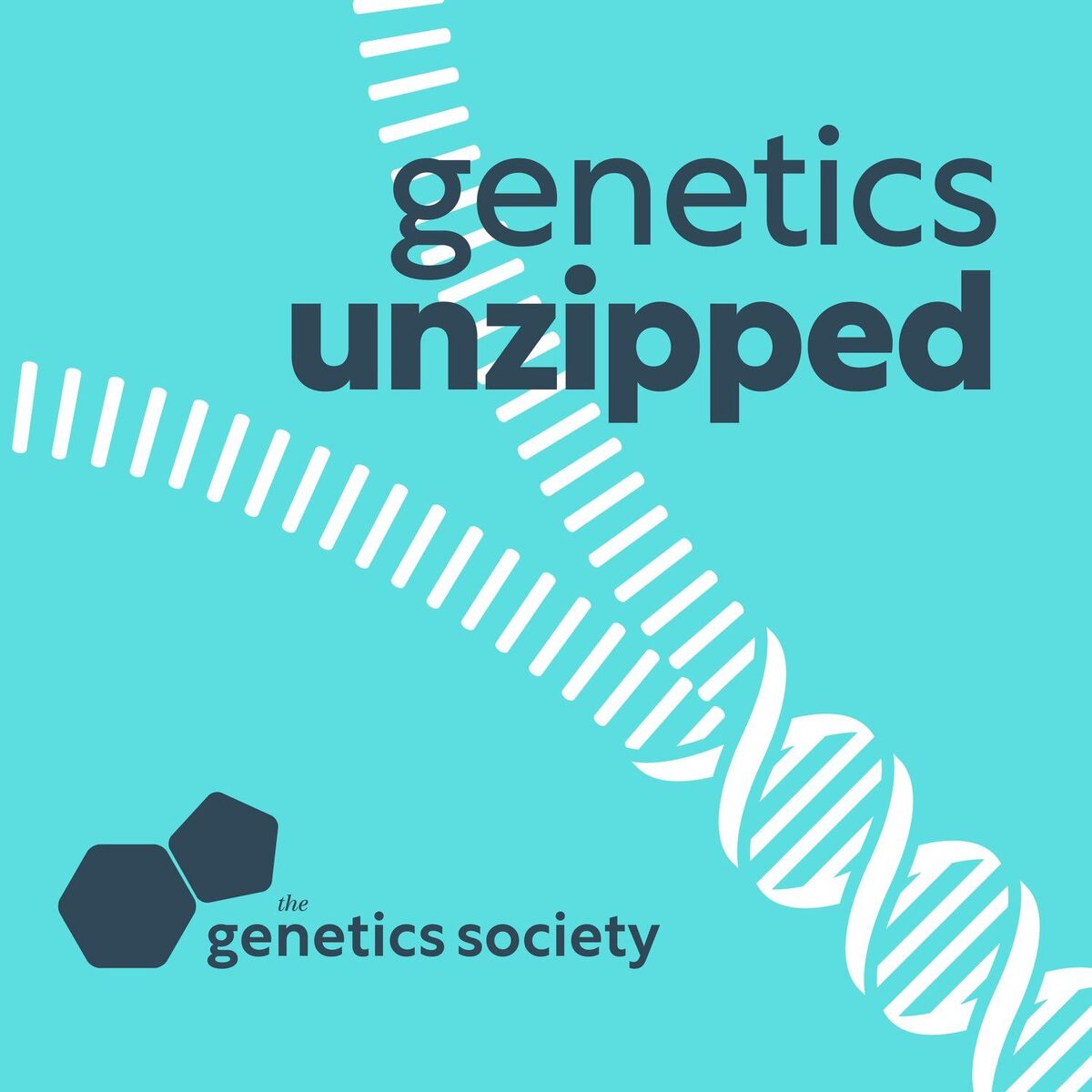 Show cover of Genetics Unzipped