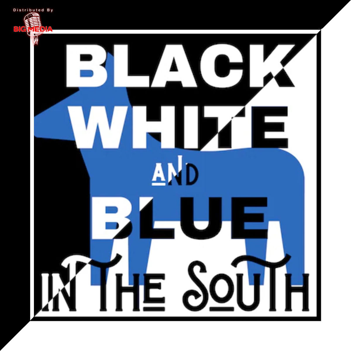 Show cover of Black White and Blue in the South