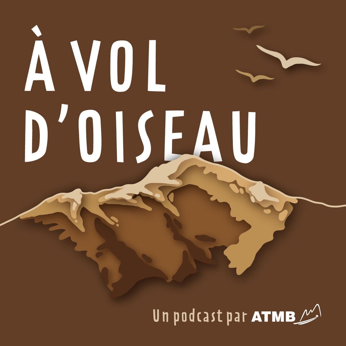 Show cover of A Vol d’oiseau