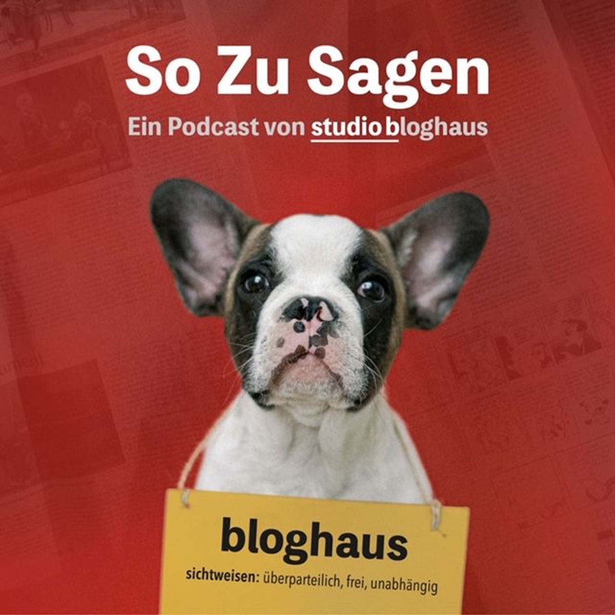 Show cover of So Zu Sagen: Ein Podcast von studio bloghaus