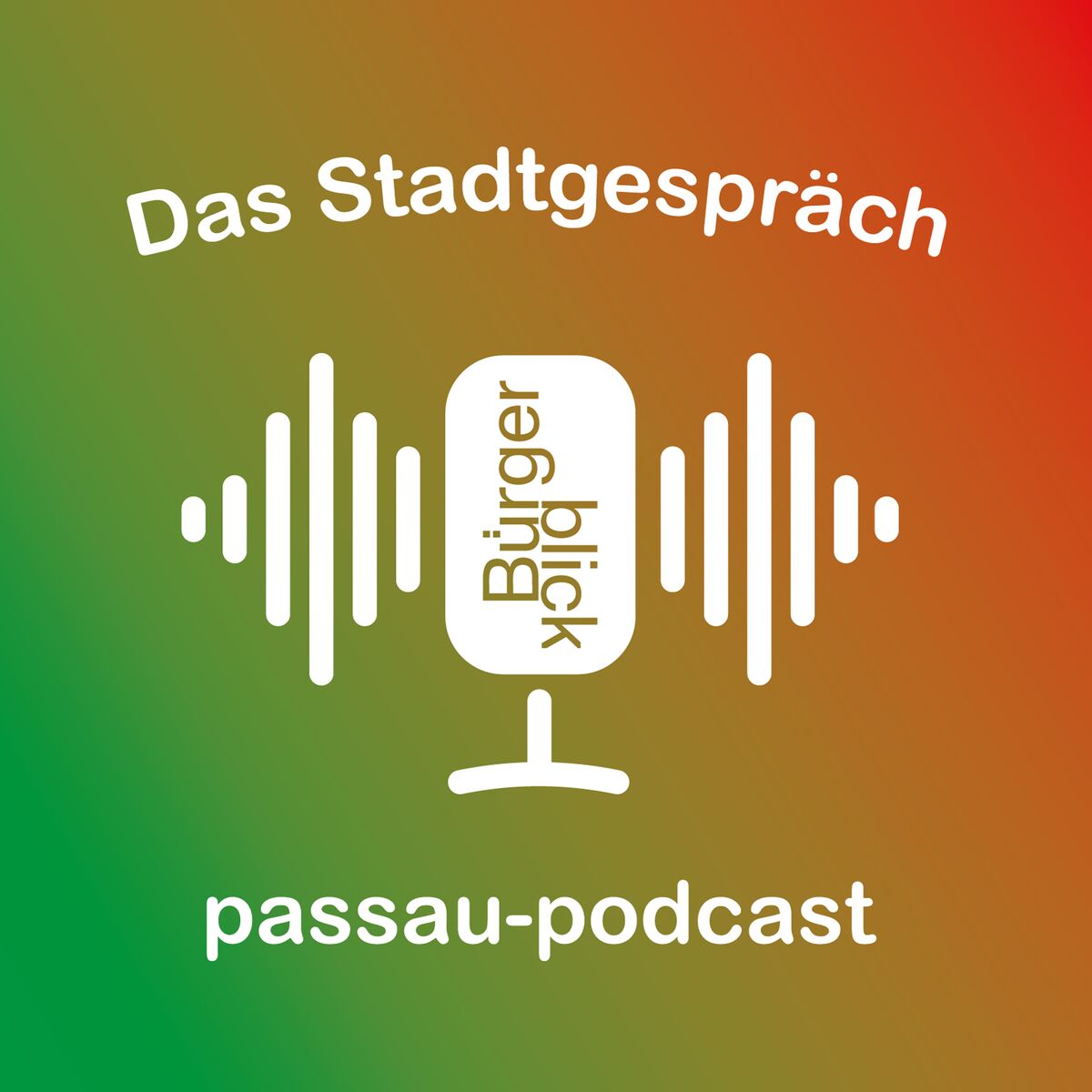 Show cover of Das Stadtgespräch - Passau-Podcast