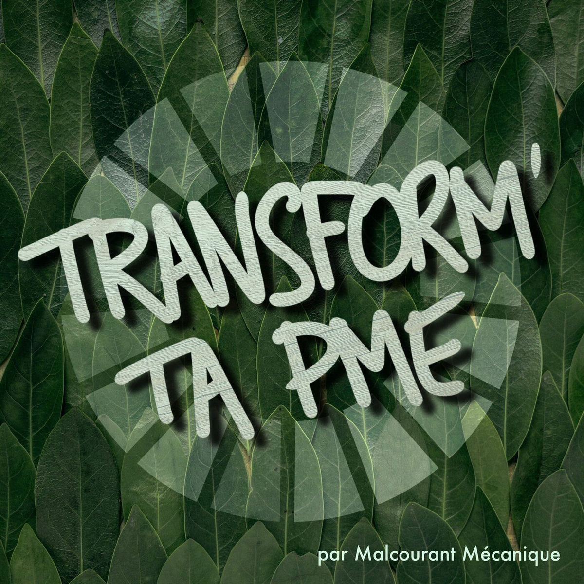 Show cover of Transform' ta PME