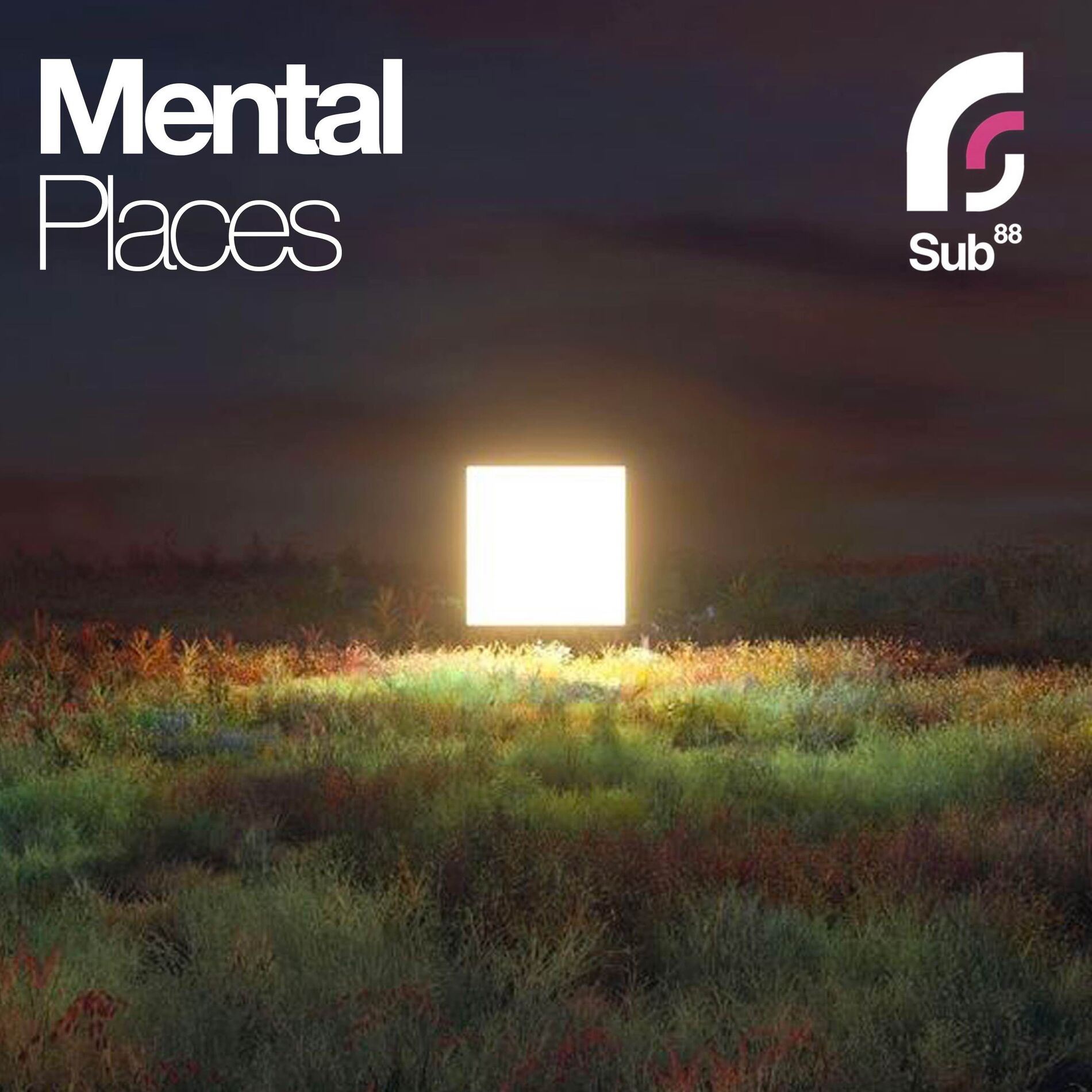 Show cover of Mental Places - Ambient & Calm Music Mixes
