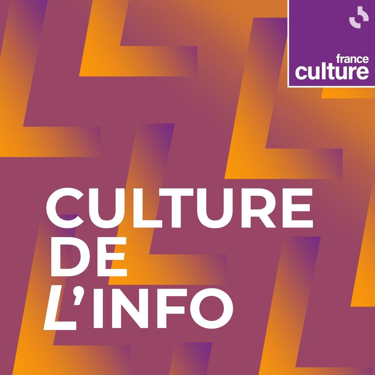 Show cover of Culture de l'info