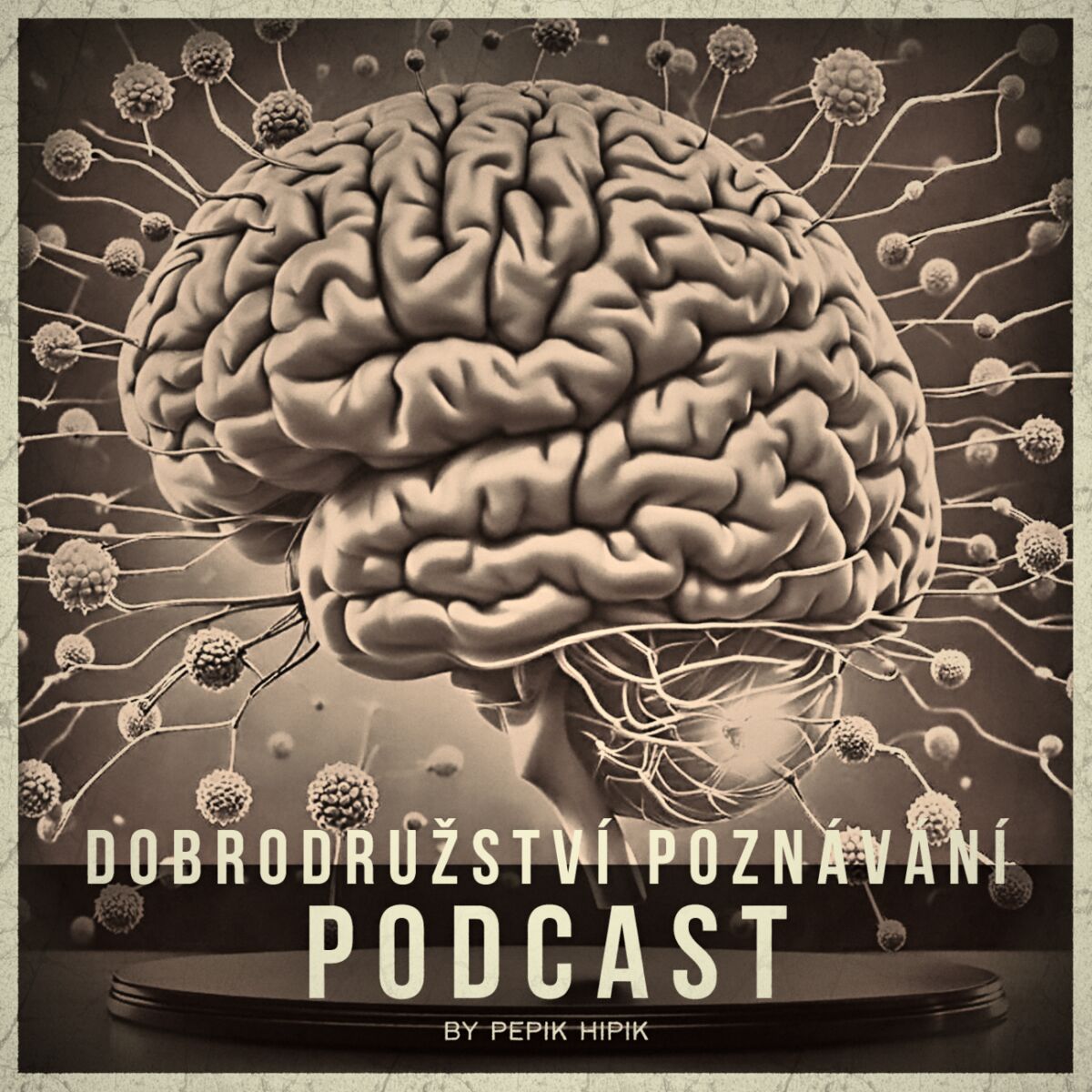 Show cover of Dobrodružství poznávání