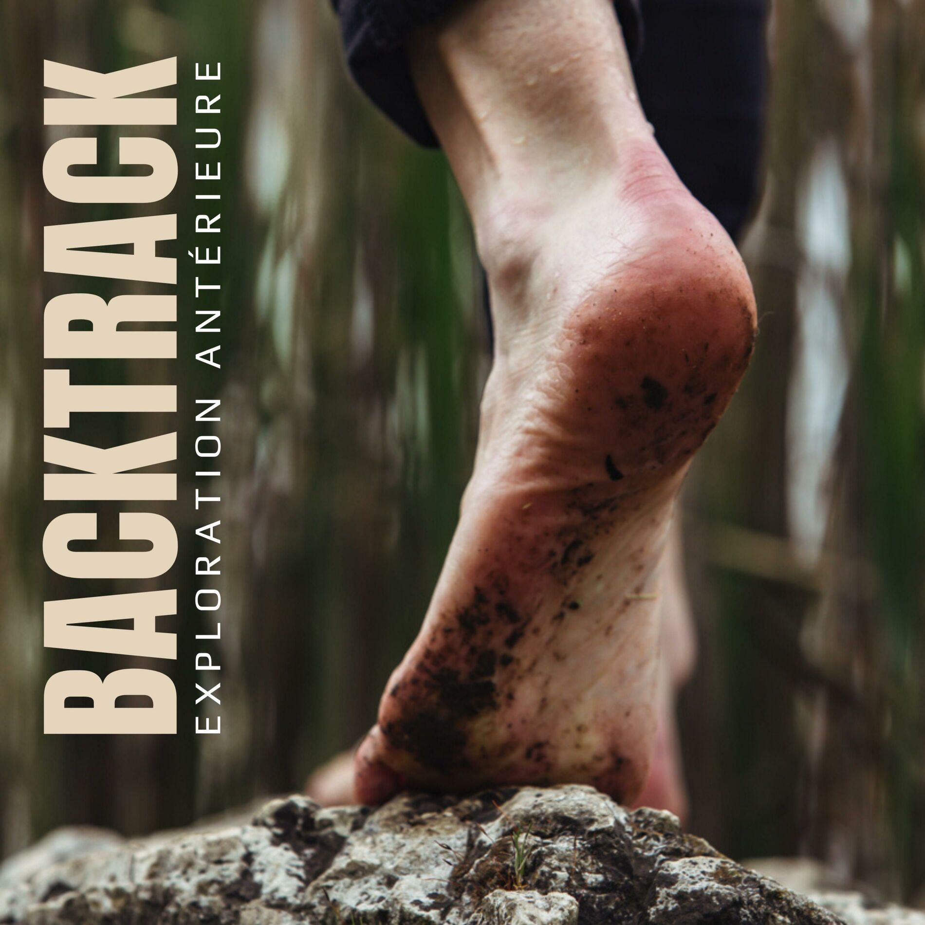 Show cover of Backtrack - Exploration antérieure