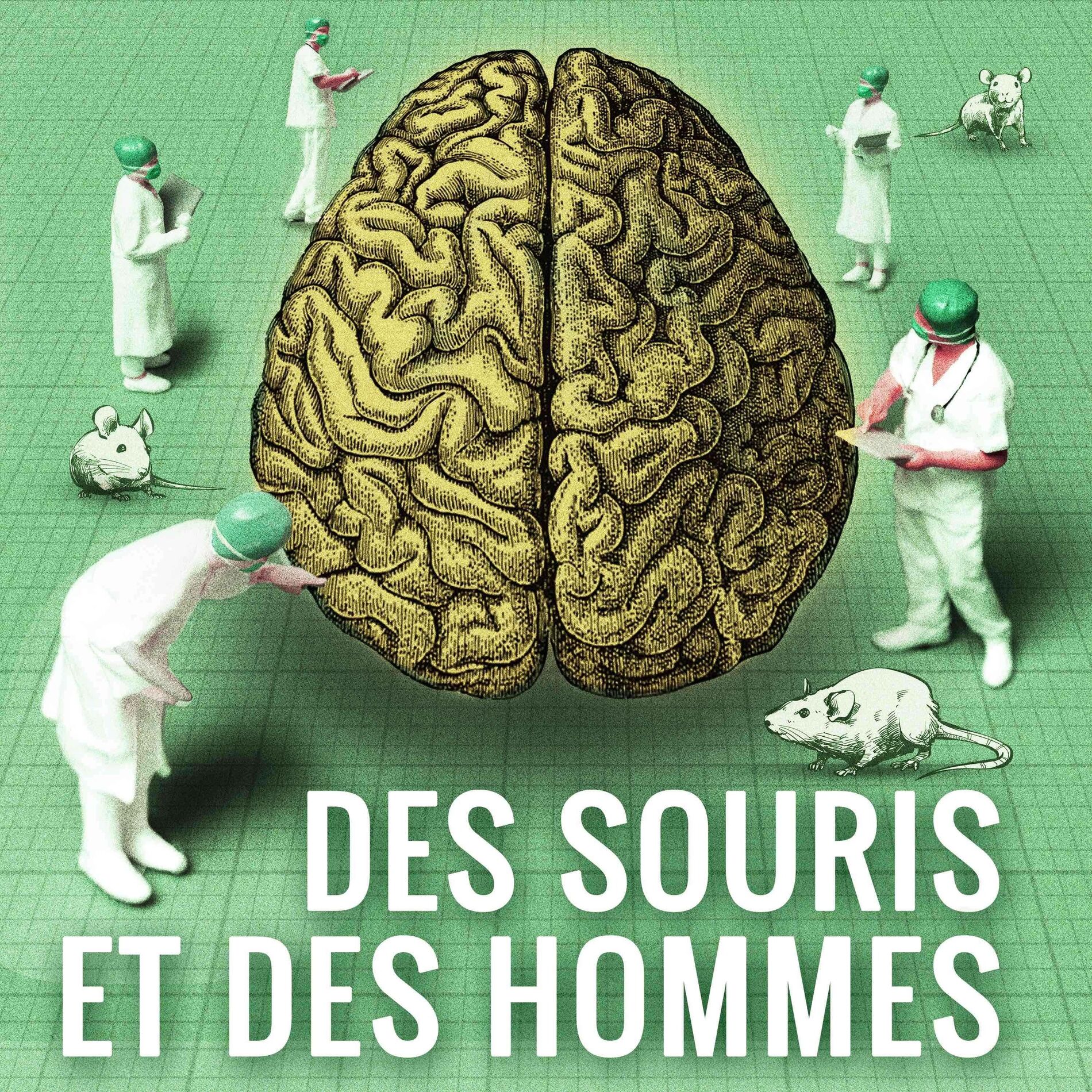Show cover of Des souris et des hommes
