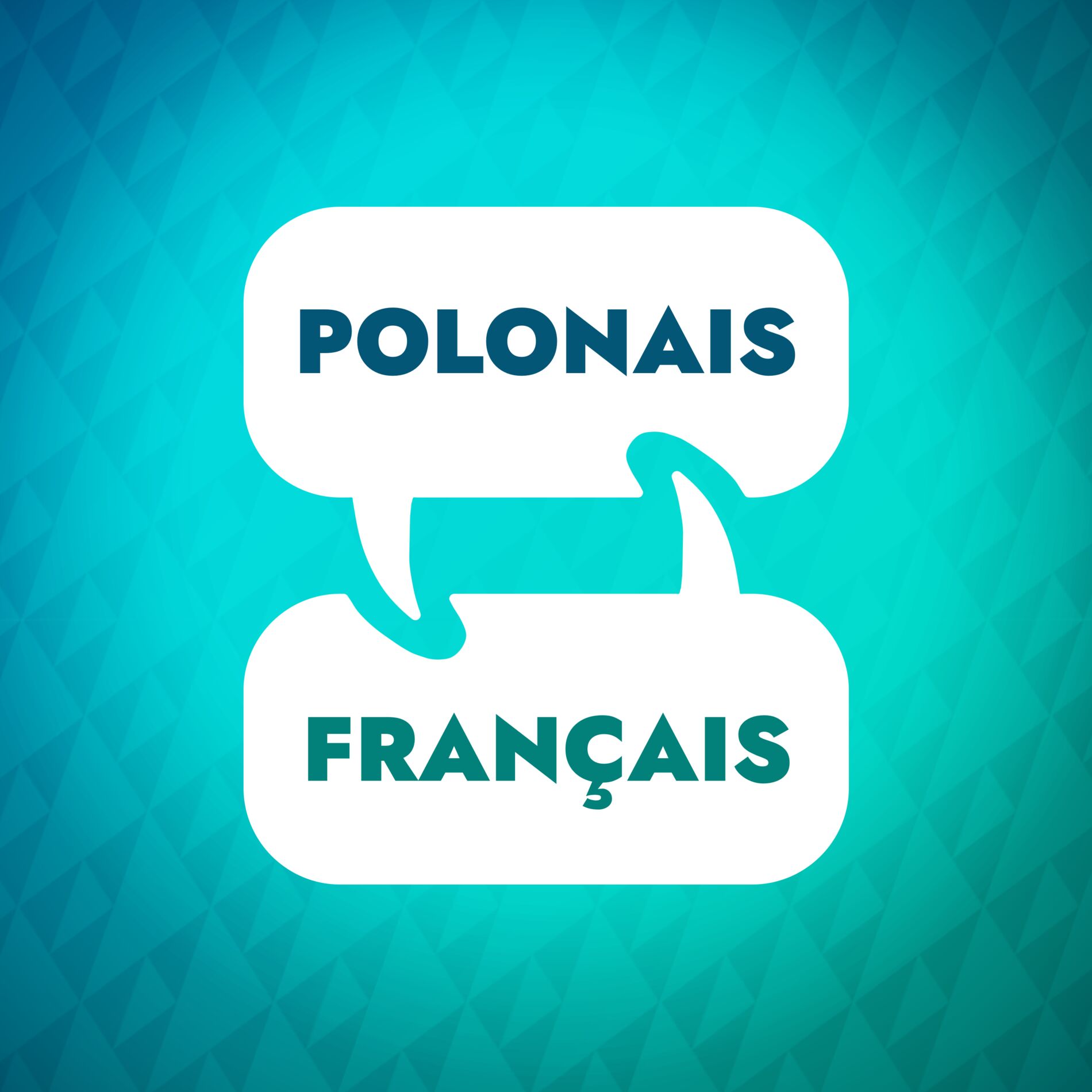 Show cover of Accélérateur d'apprentissage du polonais