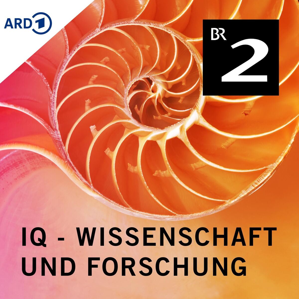 Show cover of IQ - Wissenschaft und Forschung